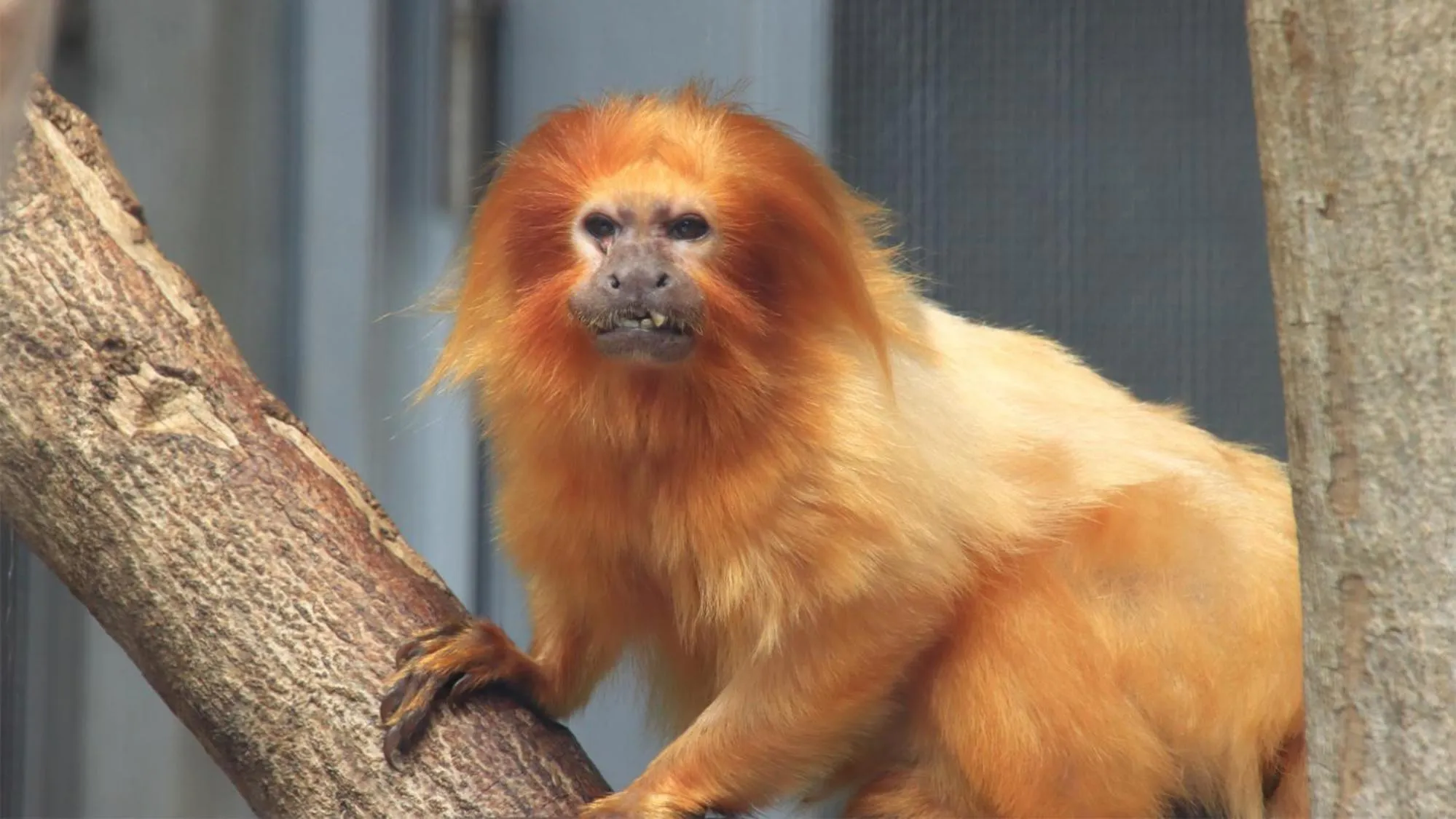 Nearby landmark in Toyoko Inn Hamamatsu eki Kita guchi
