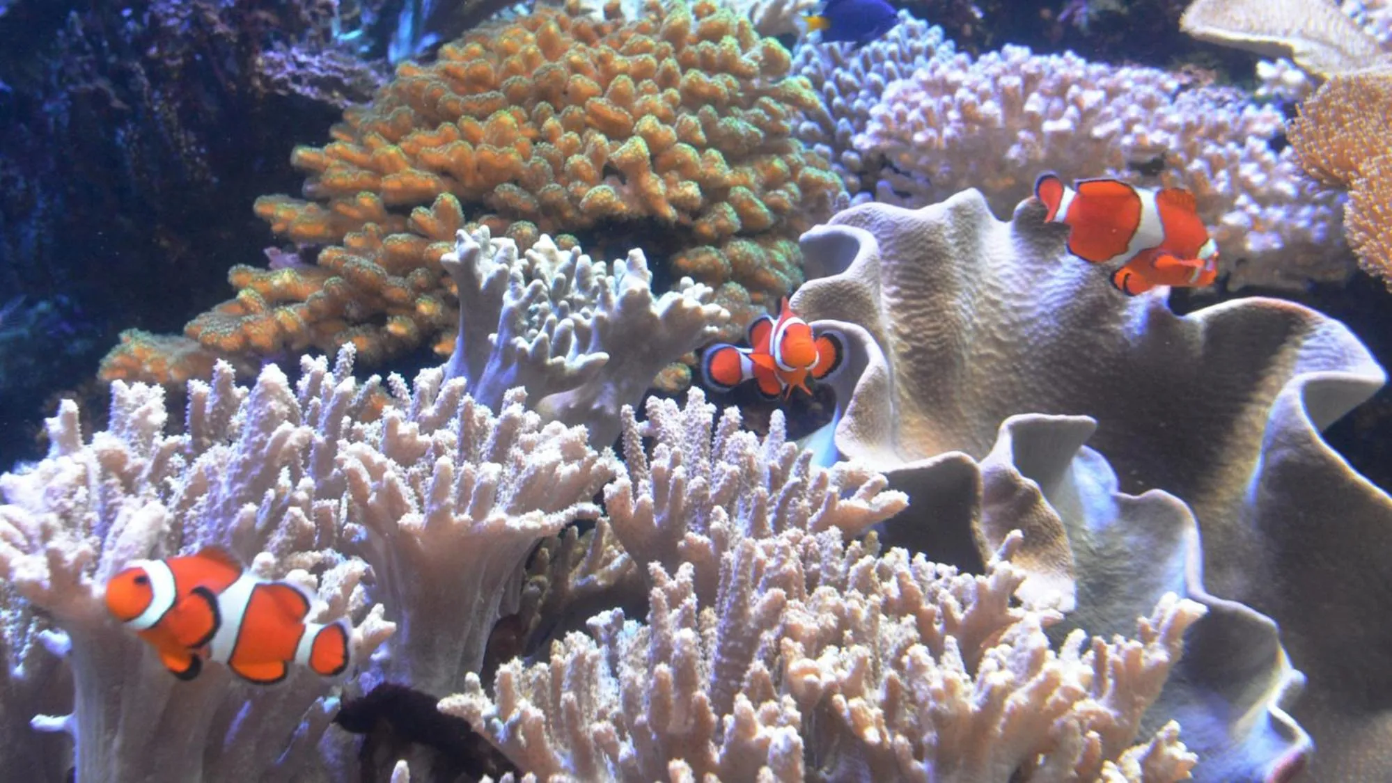 Nearby landmark in Toyoko Inn Niigata Furumachi