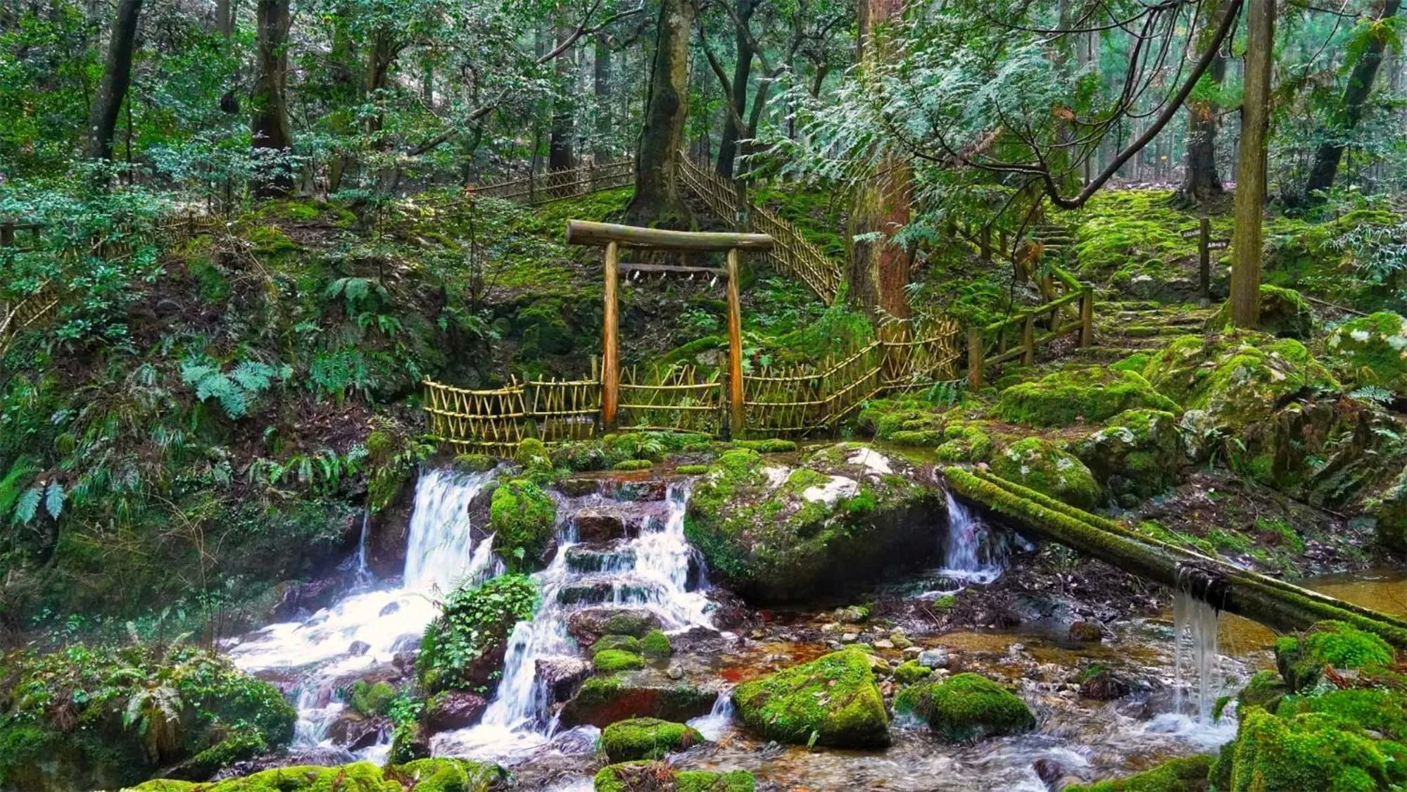 Nearby landmark in Toyoko Inn Tsuruga Ekimae