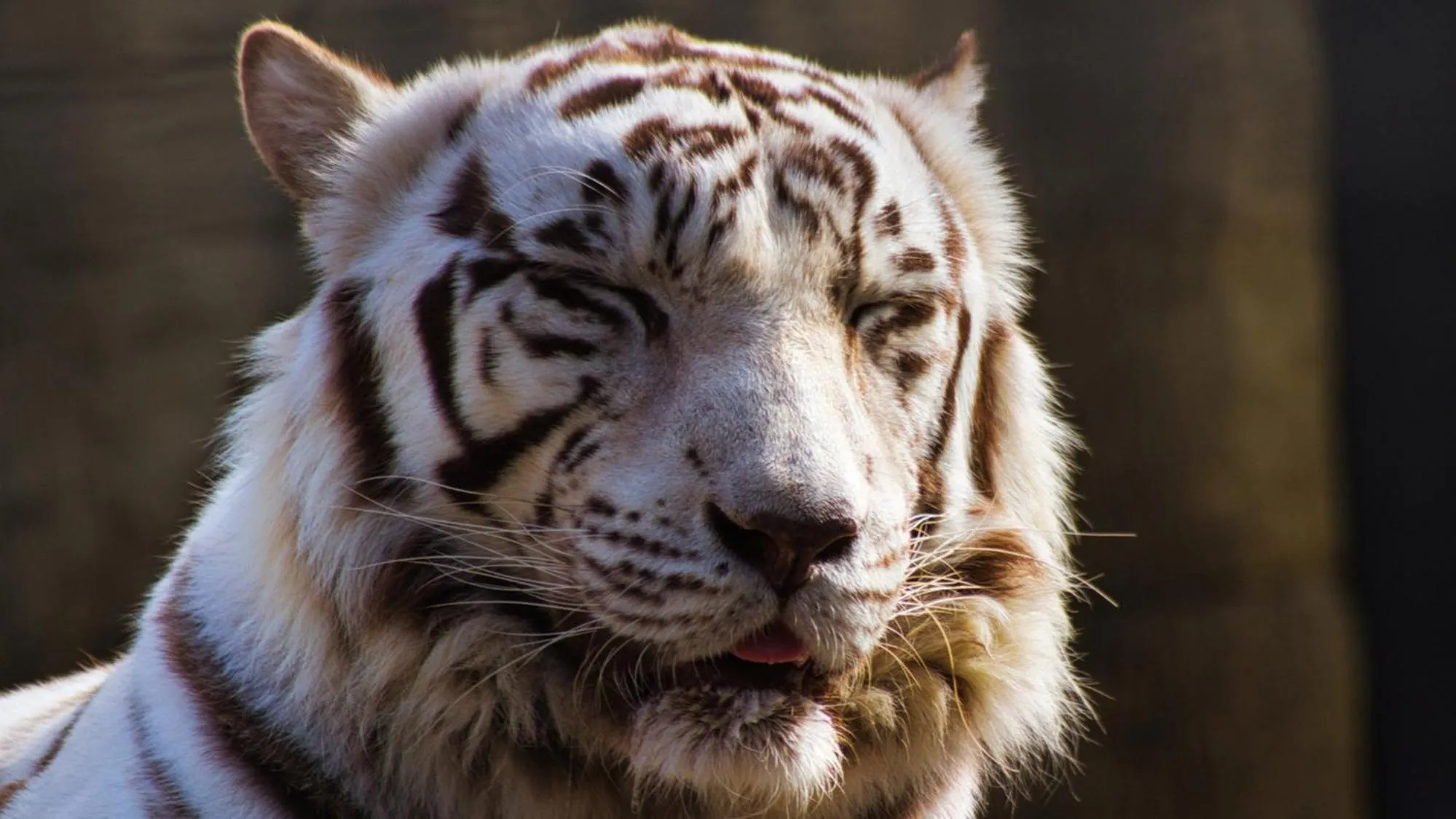 Nearby landmark in Toyoko Inn Kagoshima chuo eki Nishi guchi