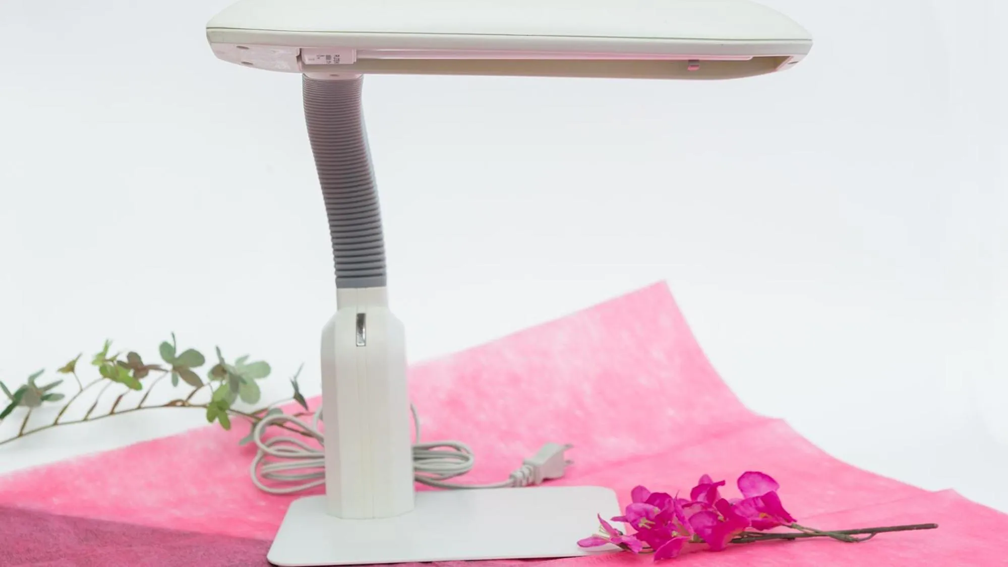 Area and facilities in Toyoko Inn Kagoshima chuo eki Nishi guchi