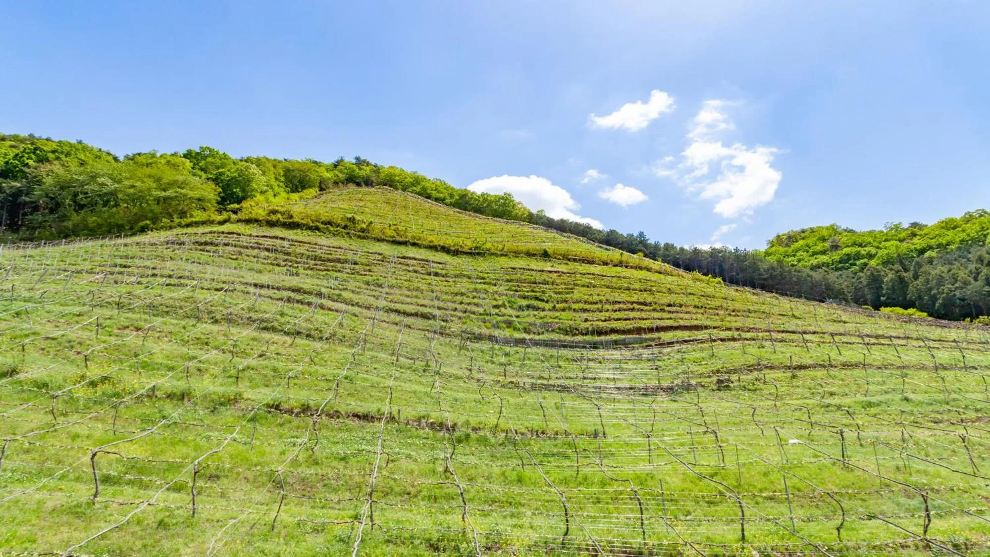 Nearby landmark in Toyoko Inn Tochigi Ashikaga eki Kita guchi