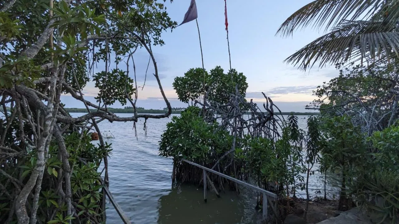 Lagoon gate Tangalle Resort