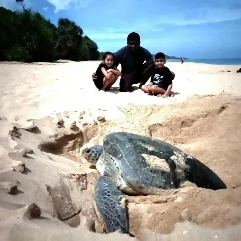 Natural landscape in Lagoon gate Tangalle Resort