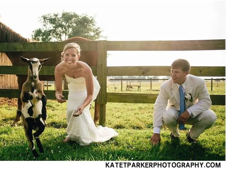 Other in The Farmhouse Inn