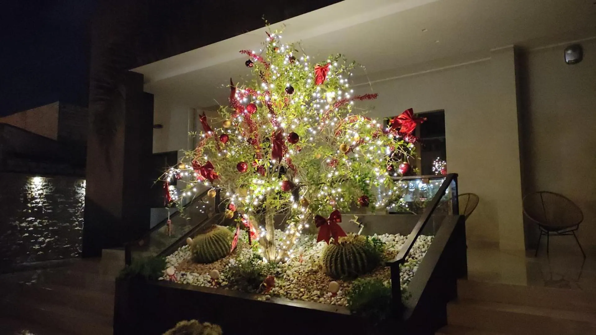 Garden in B&B Villa Grace