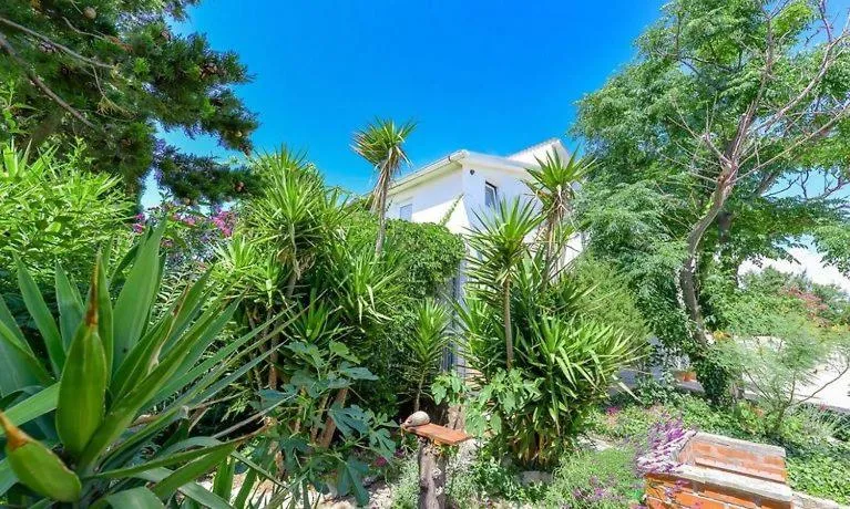 Apartments Yucca