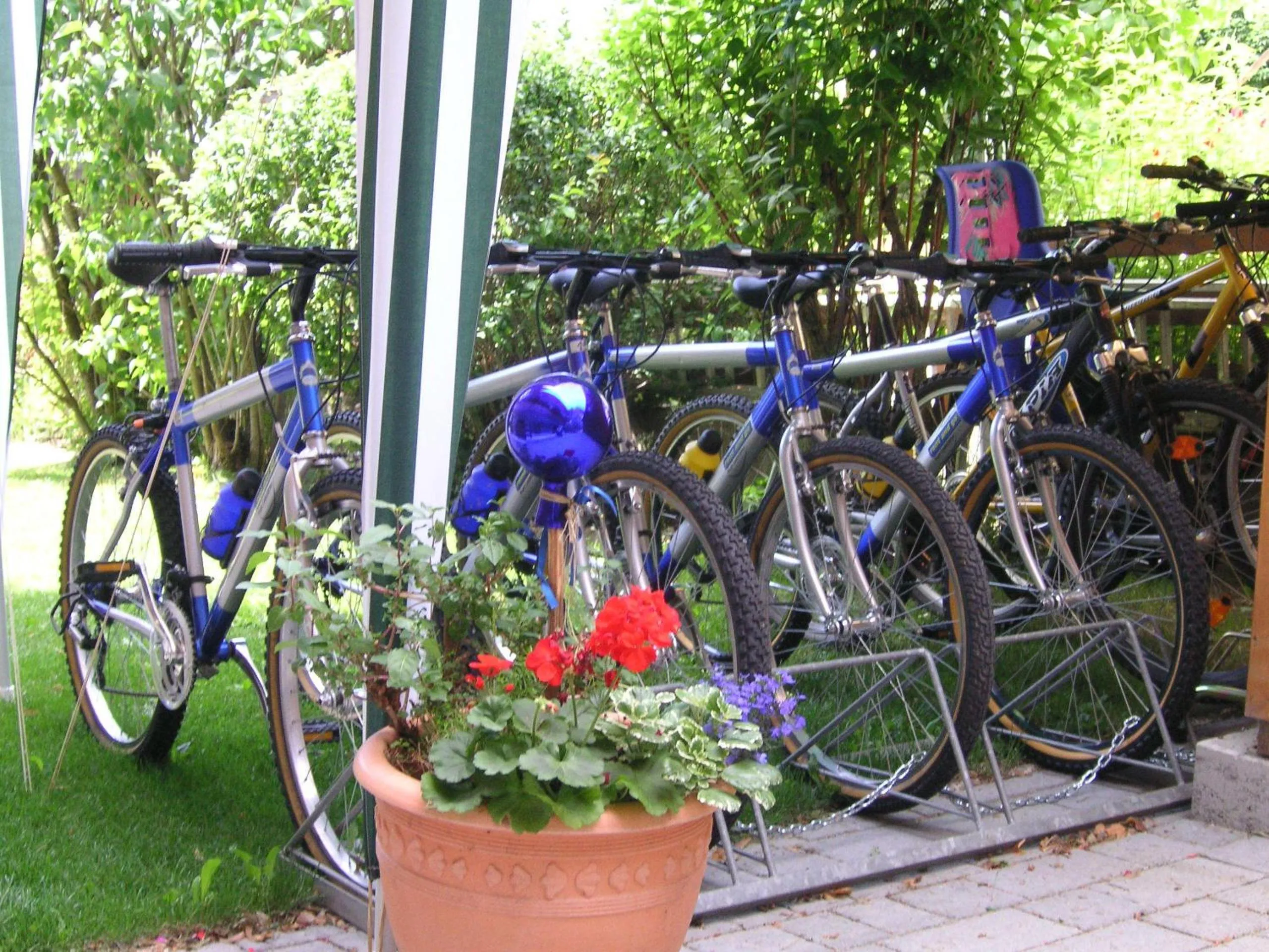 Cycling in Hotel B&B Martha