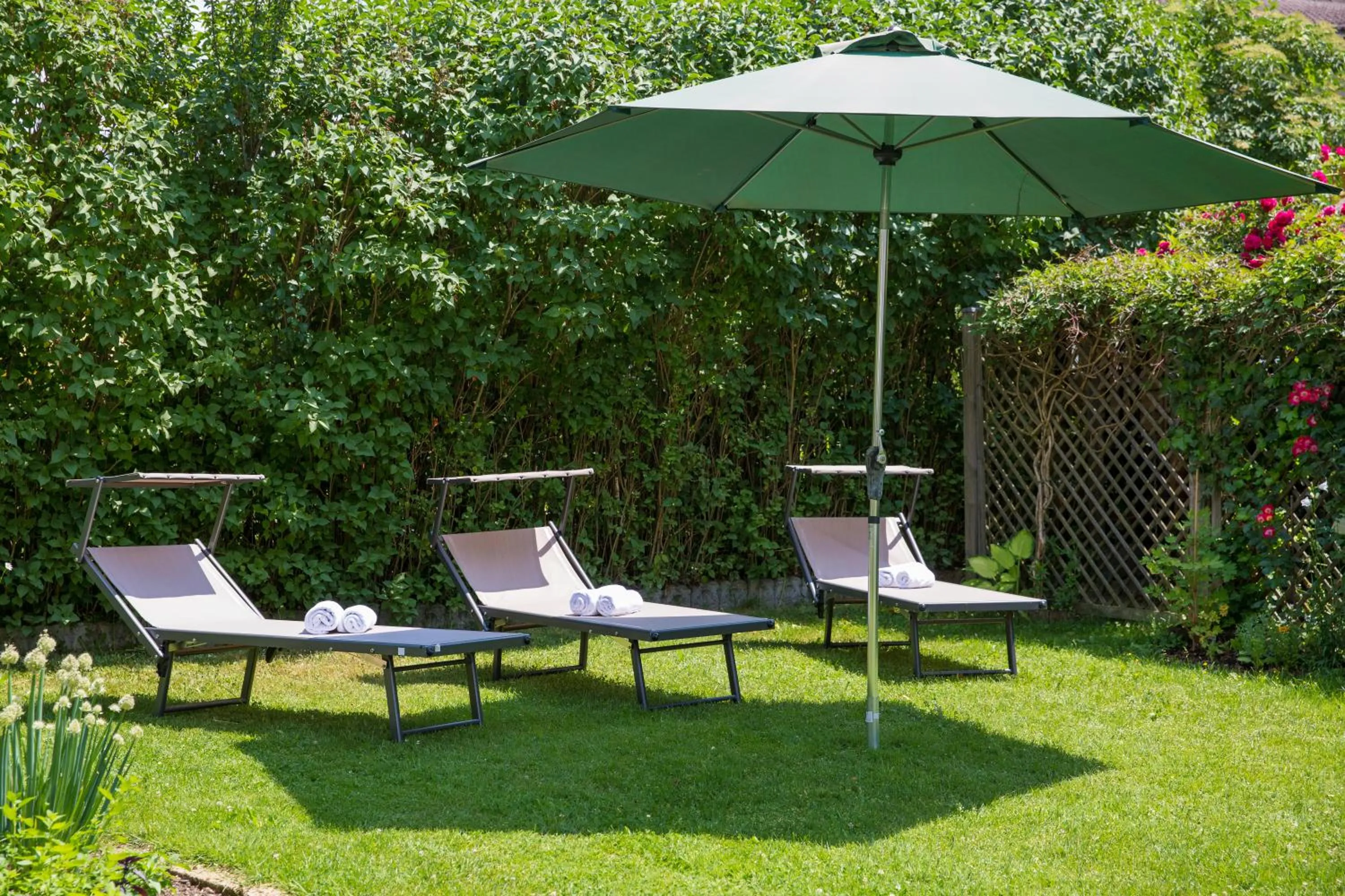 Garden in Hotel B&B Martha