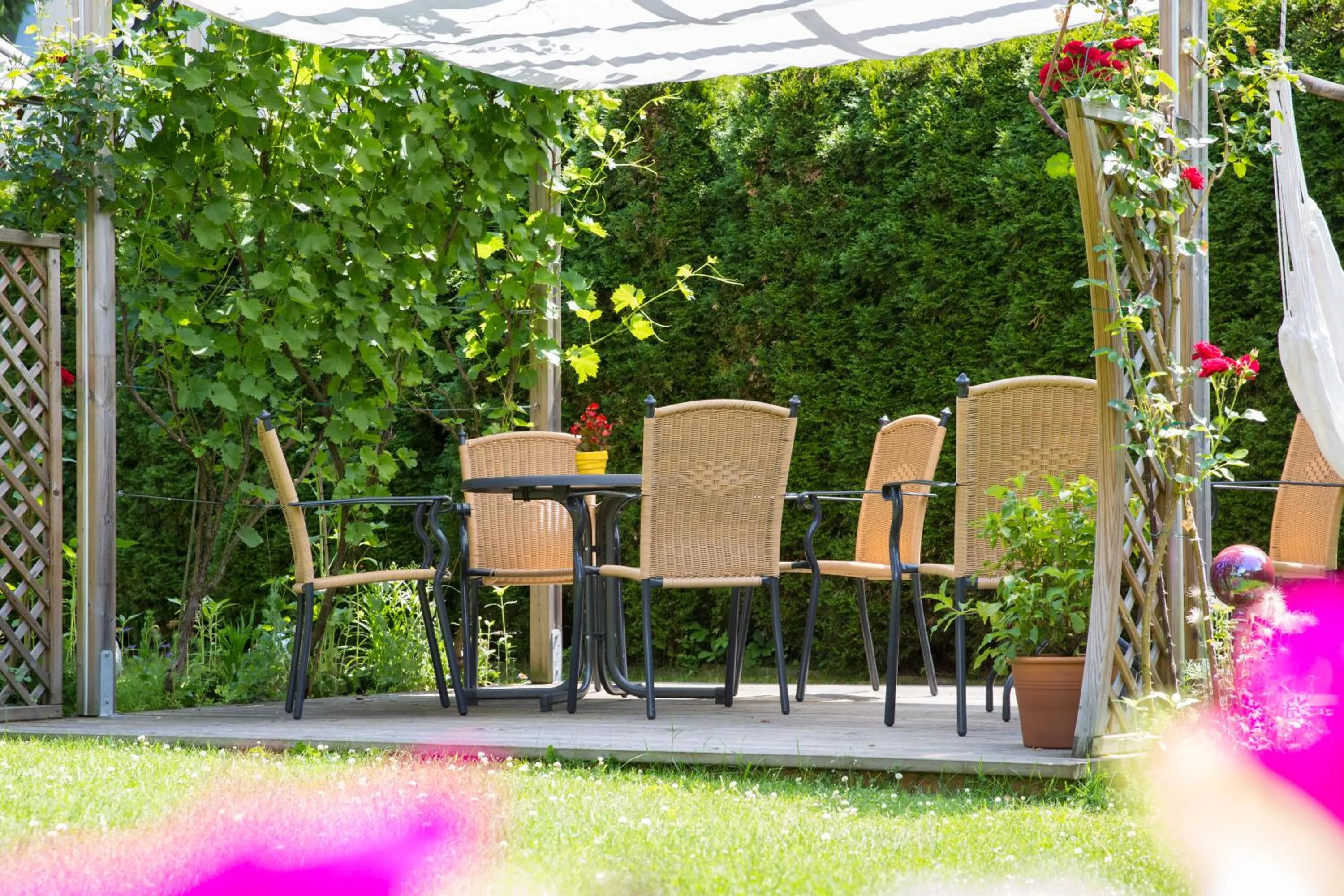 Garden in Hotel B&B Martha