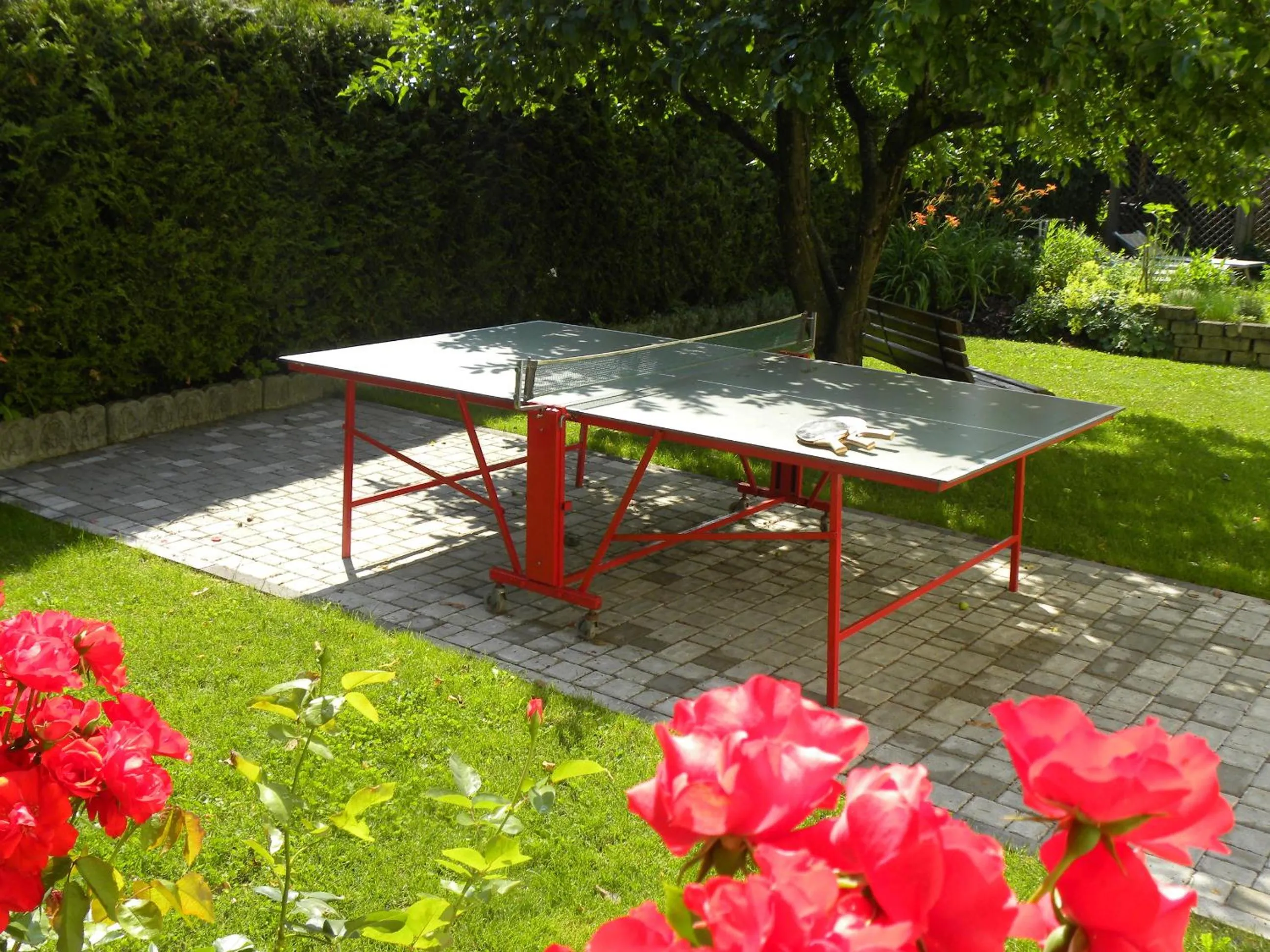 Garden in Hotel B&B Martha