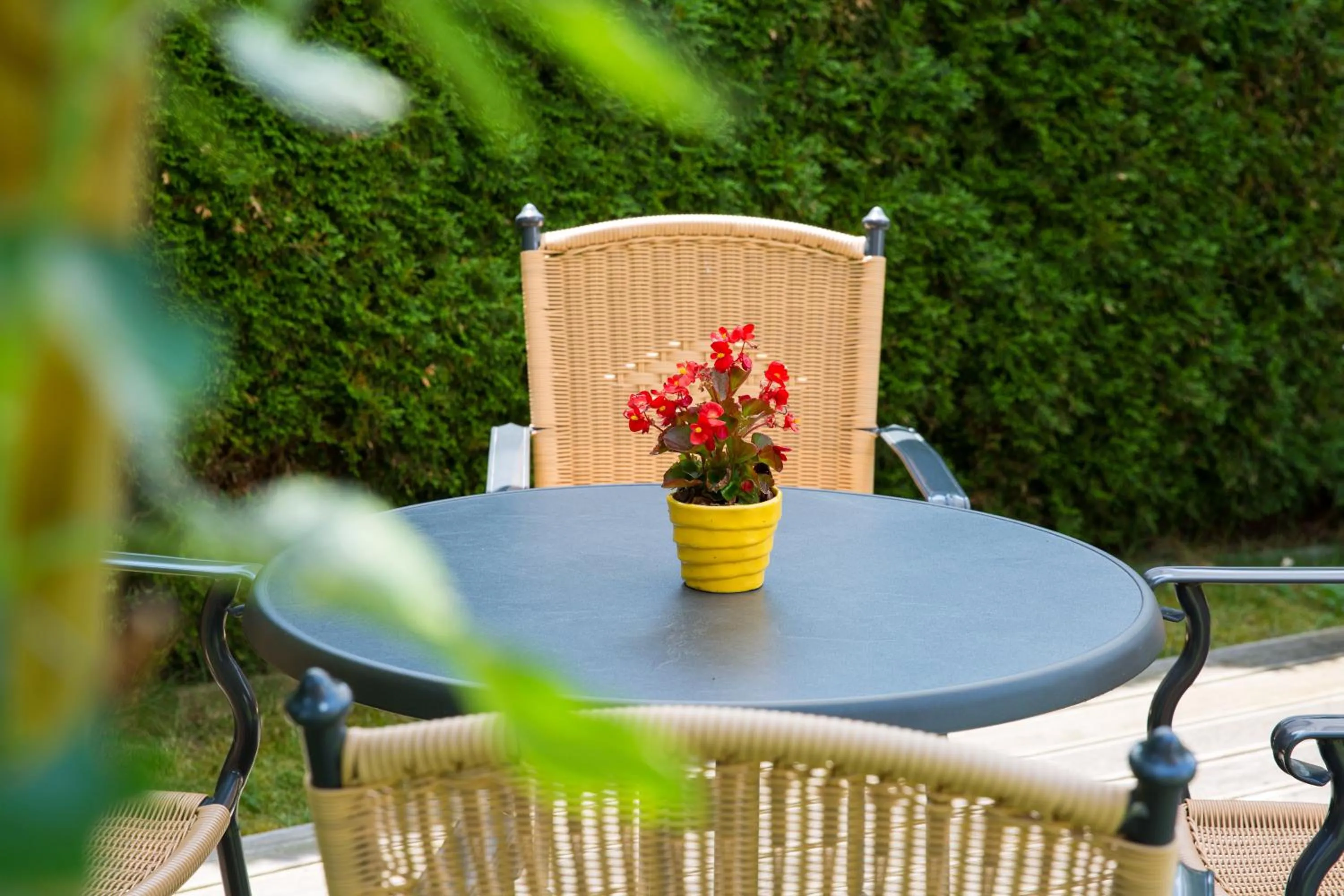 Garden in Hotel B&B Martha