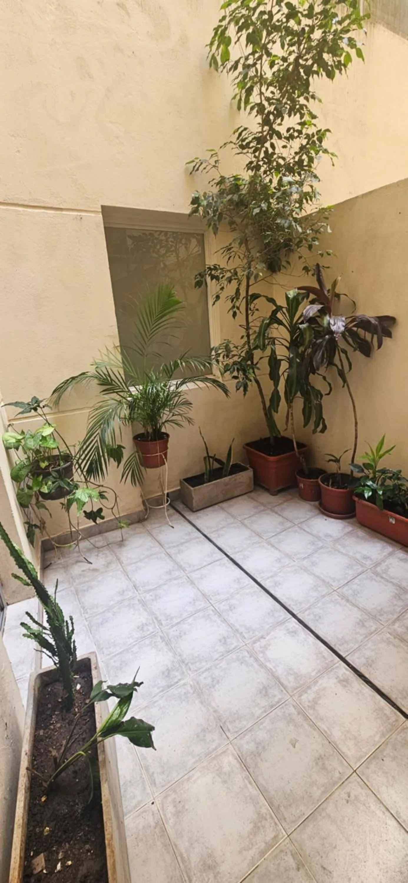 Alto Palermo