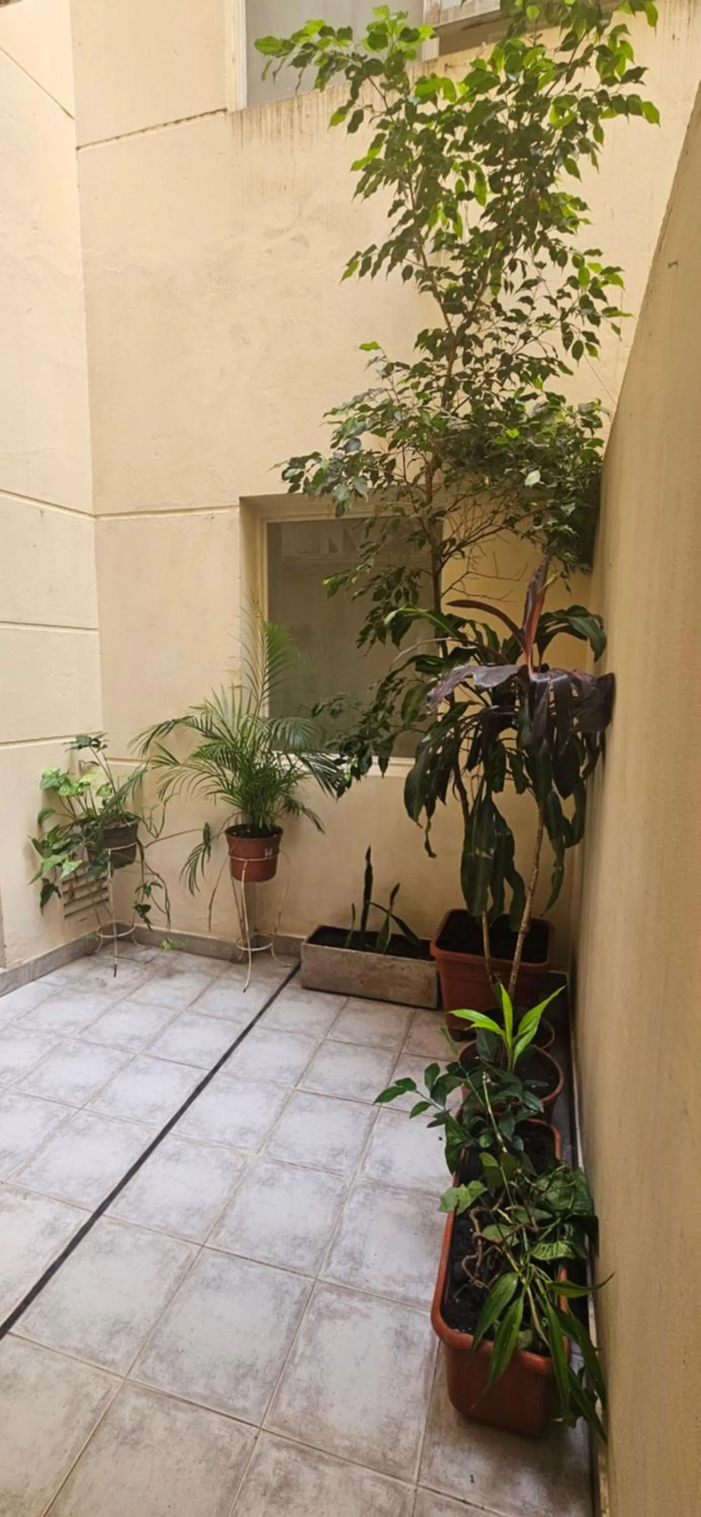Alto Palermo