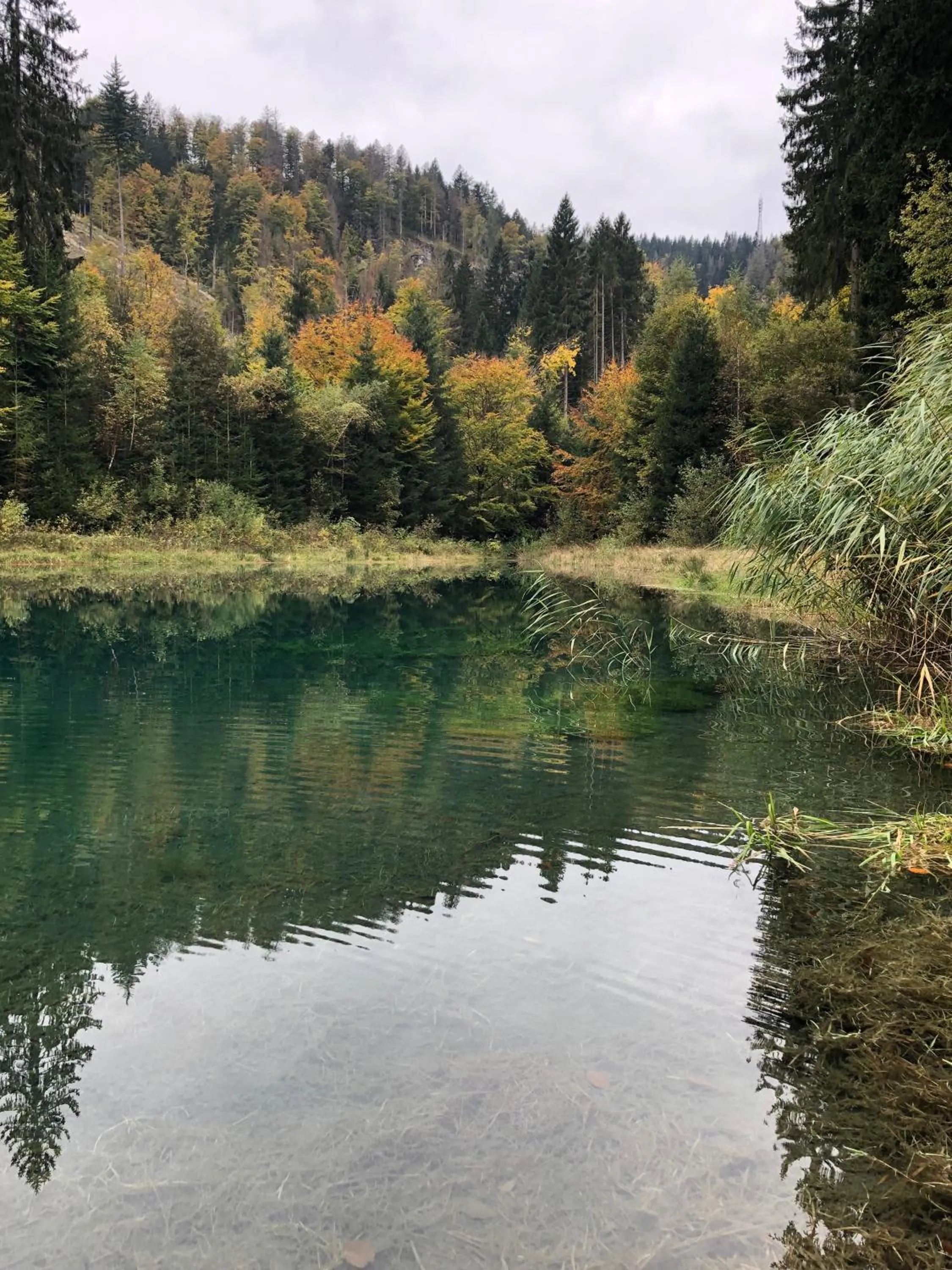 Natural landscape in Zur alten Fabrik