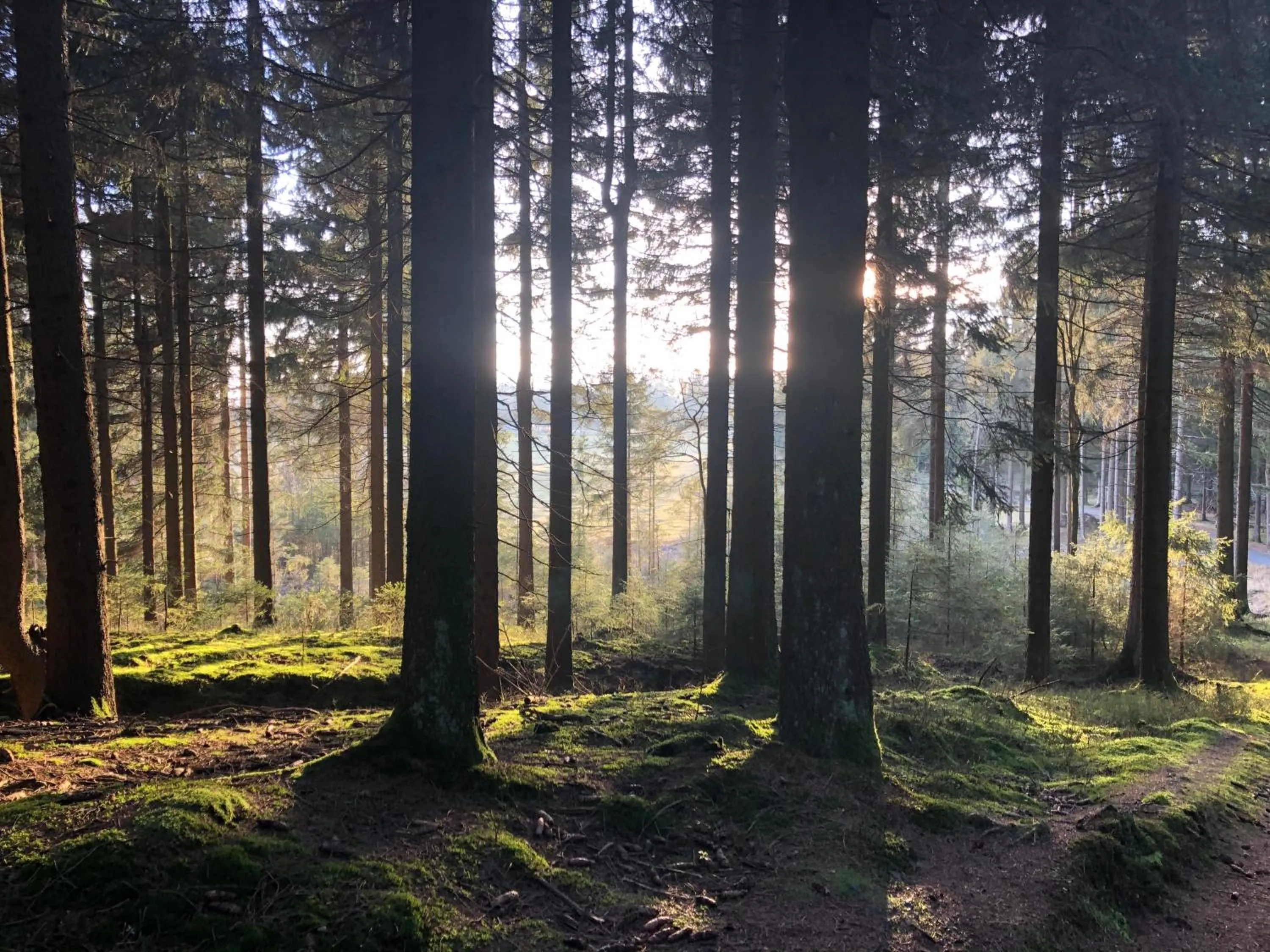 Natural landscape in Zur alten Fabrik