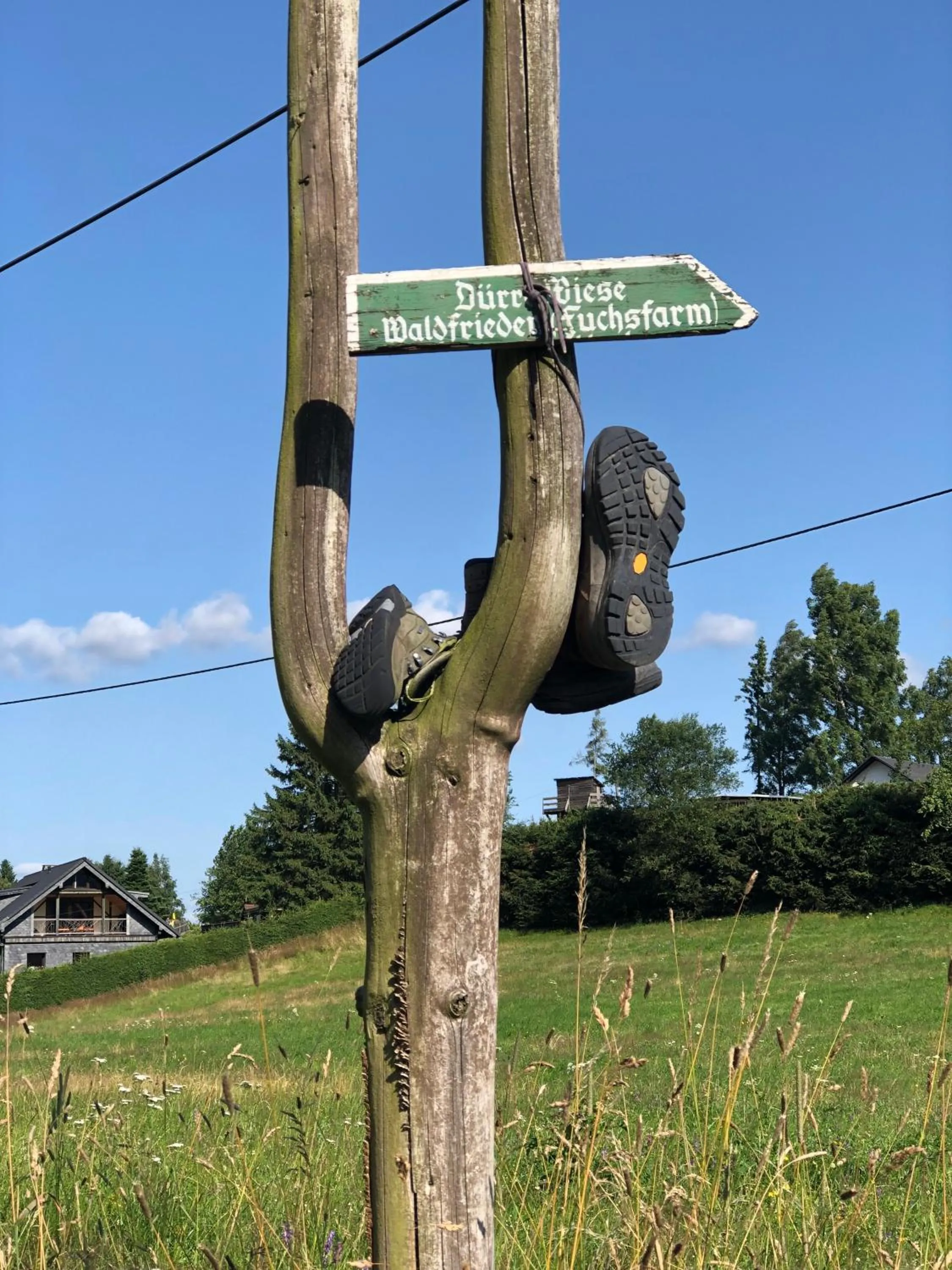 Activities in Zur alten Fabrik