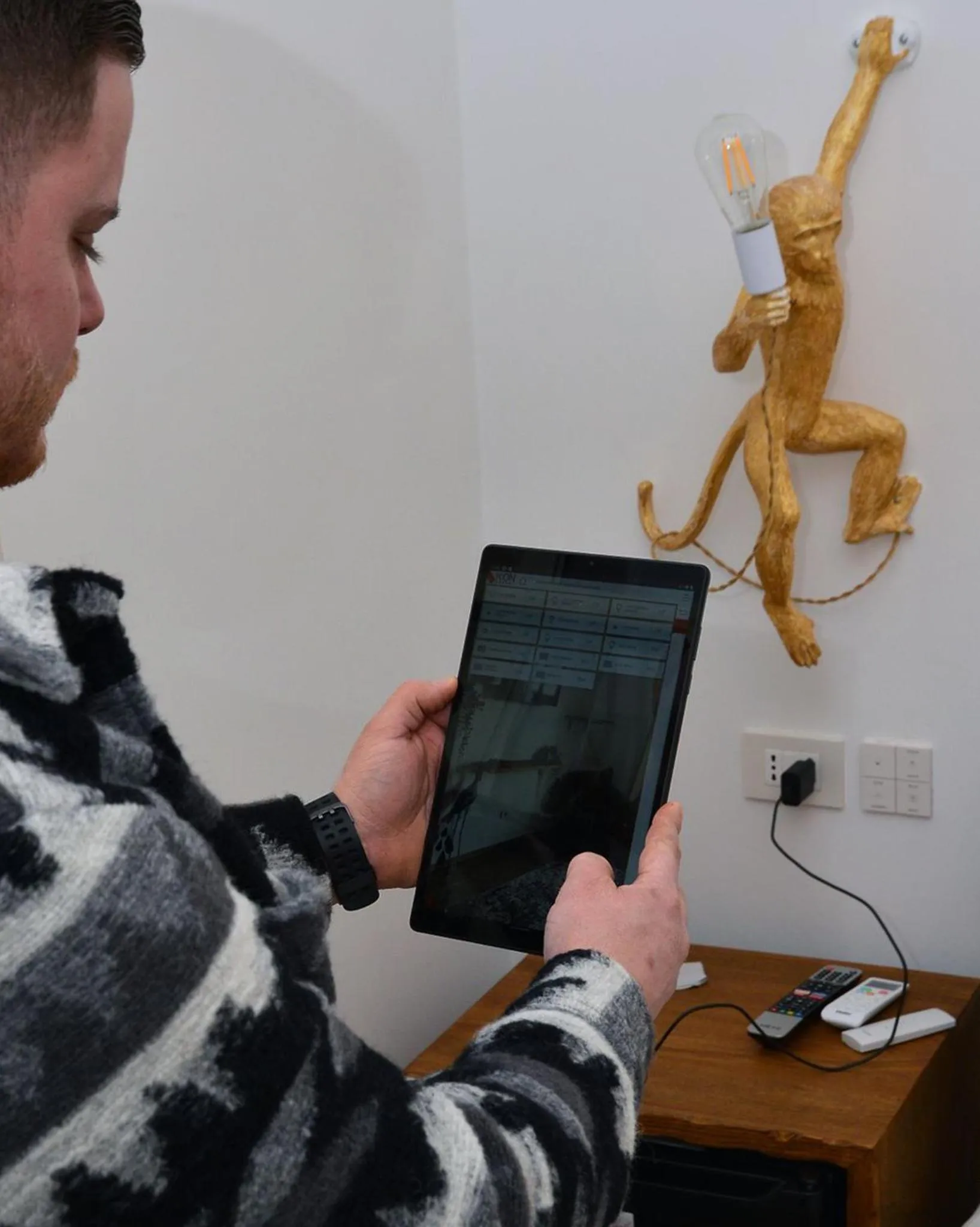 TV and multimedia in Urban jungle rooms