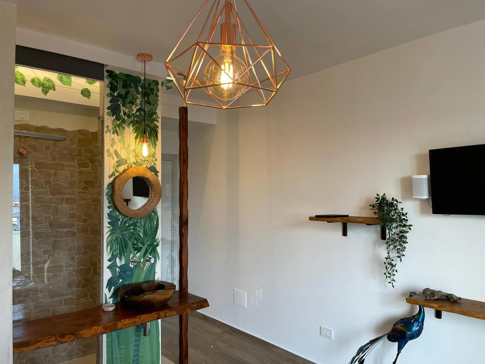 TV and multimedia in Urban jungle rooms