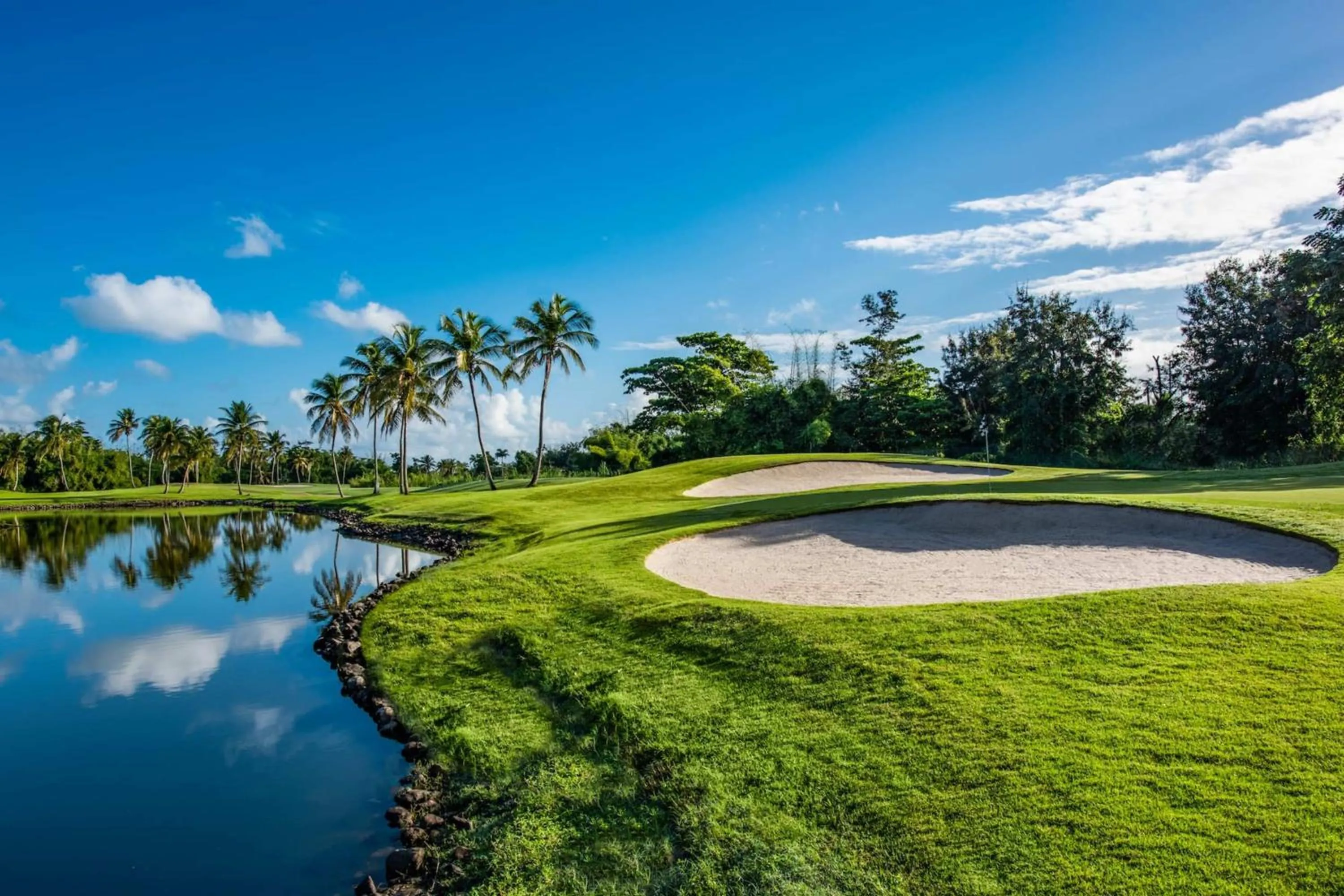 Golfcourse in Wyndham Grand Rio Mar Rainforest Beach and Golf Resort