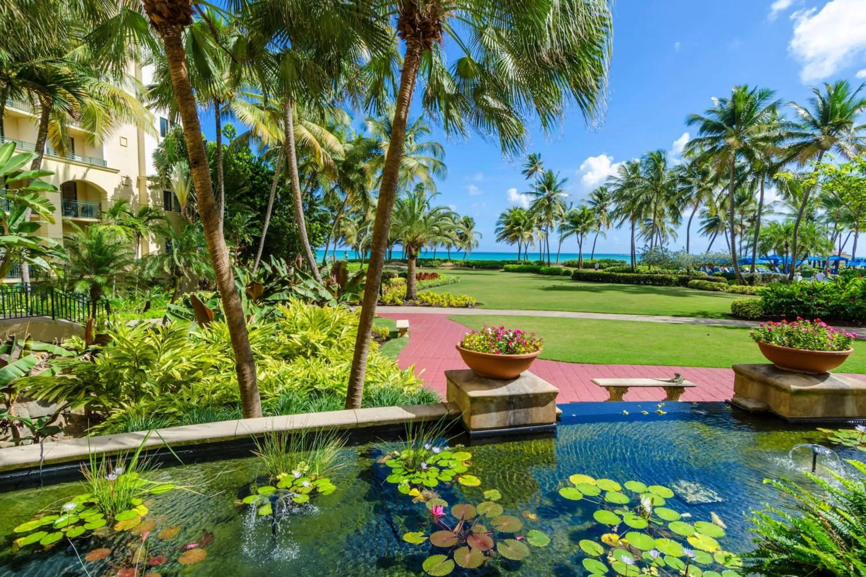 View (from property/room) in Wyndham Grand Rio Mar Rainforest Beach and Golf Resort