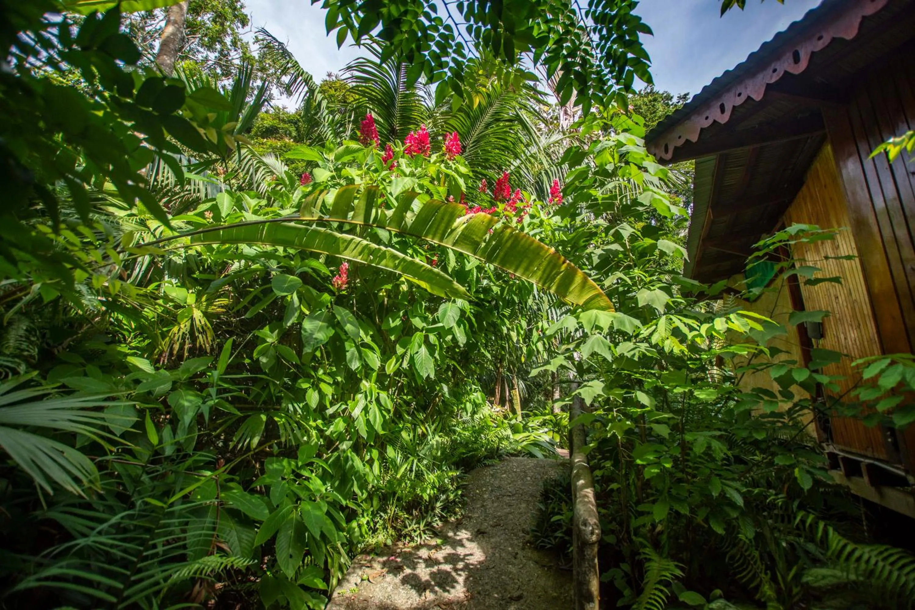 Garden in Hotel La Costa de Papito