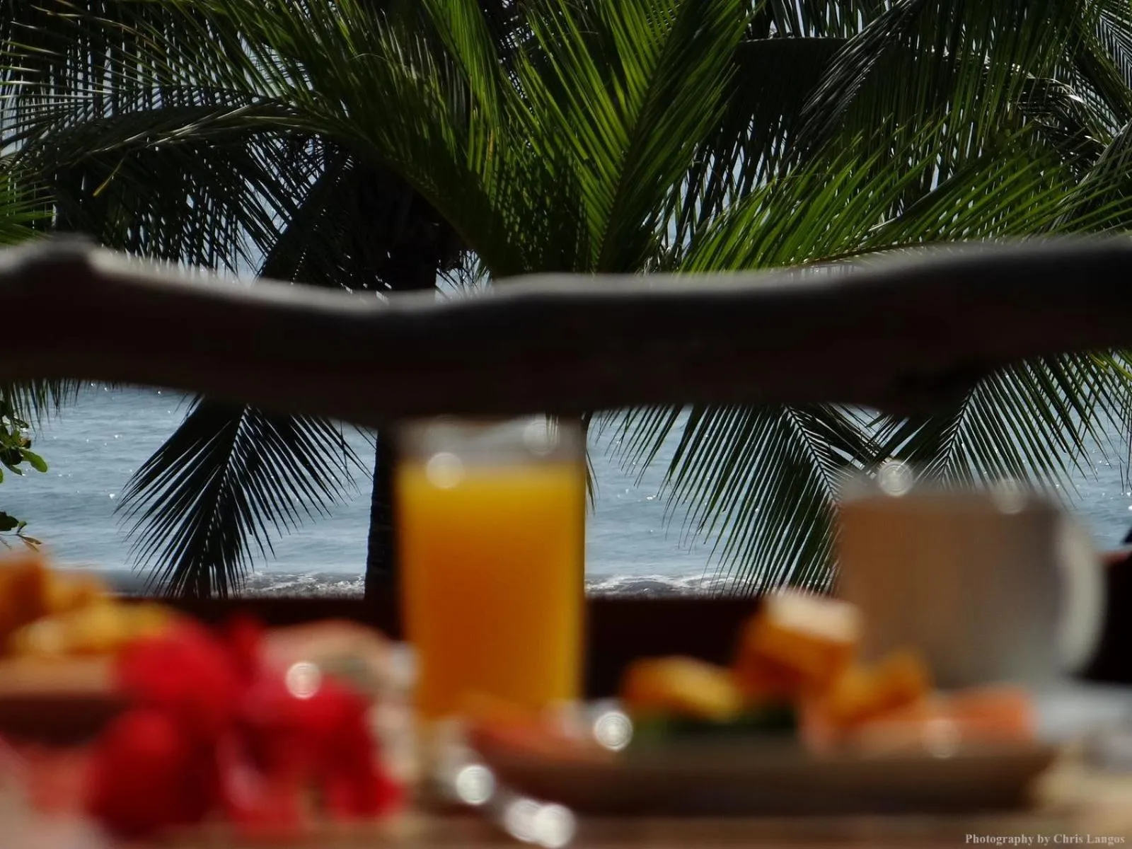 Breakfast in Agua Dulce On The Beach