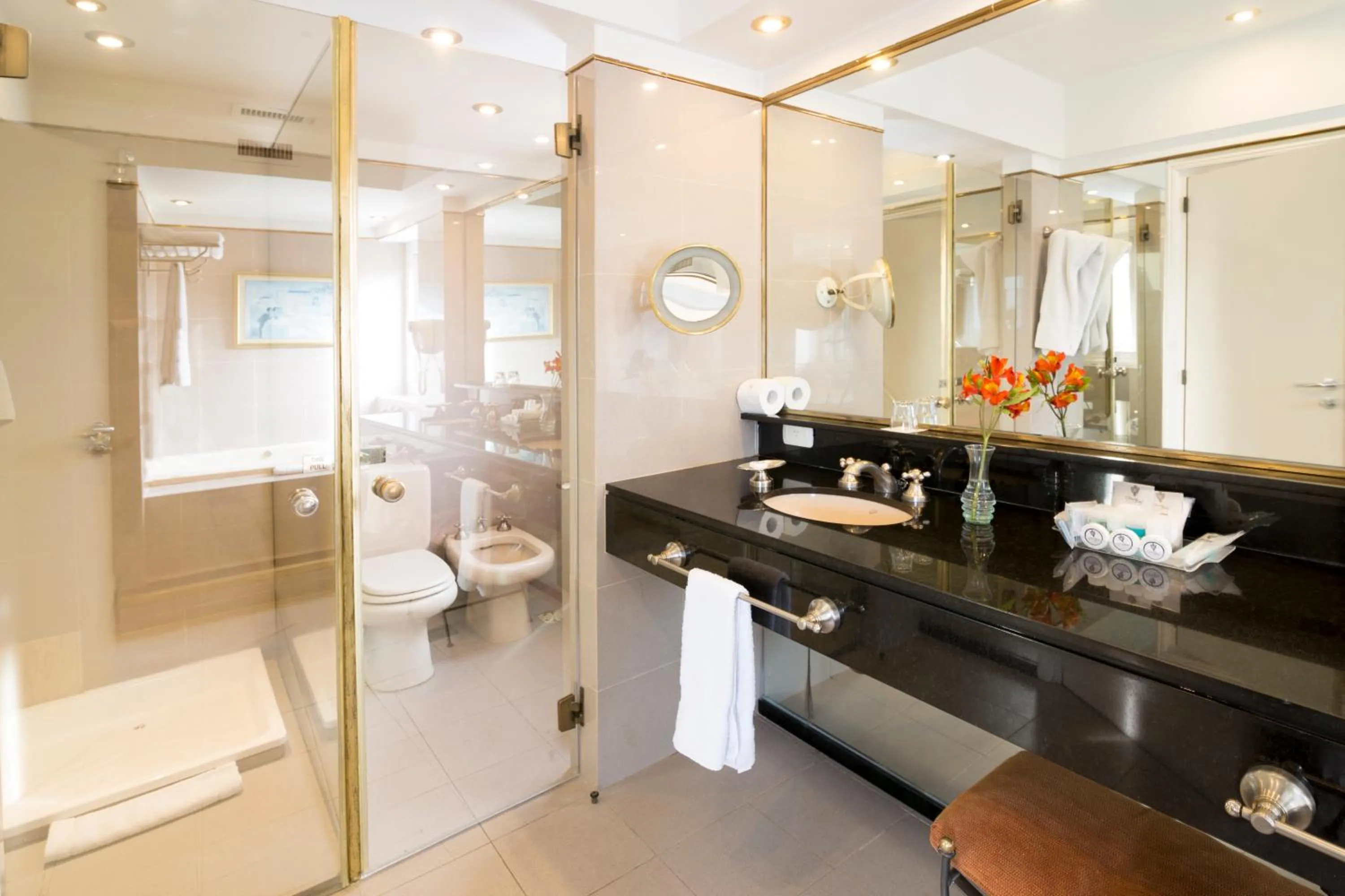 Toilet in Claridge Hotel