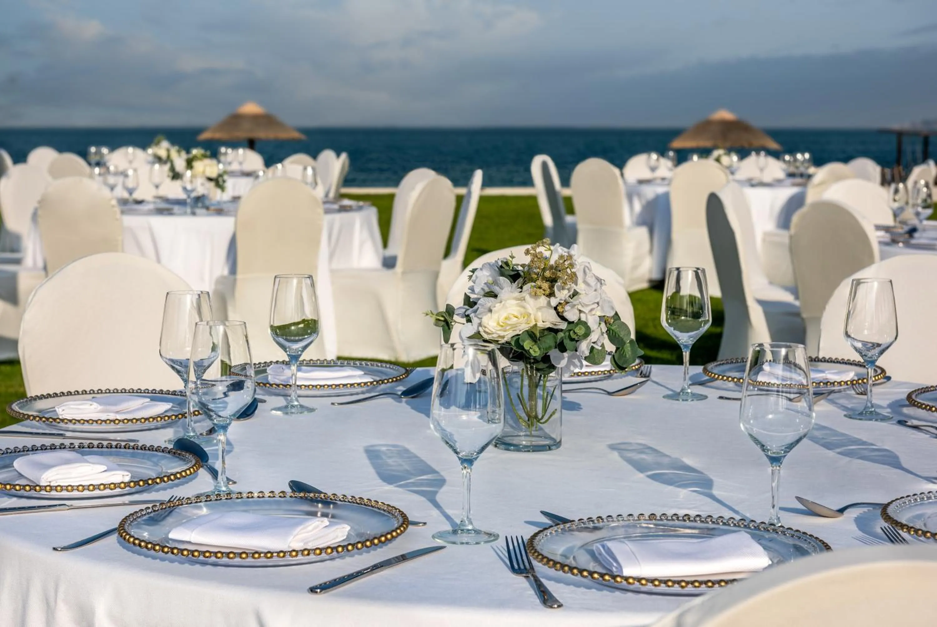 Garden in Al Maya Island & Resort