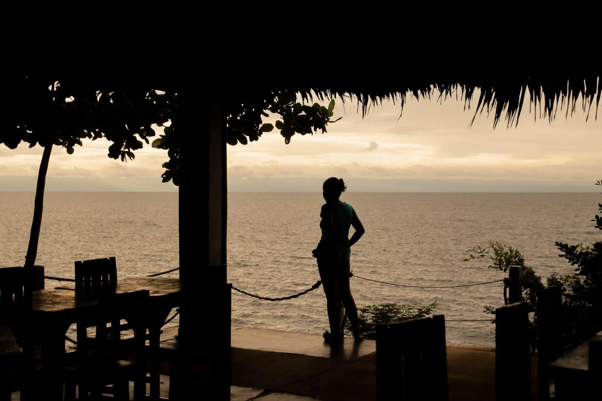 View (from property/room) in Almira Diving Resort- Panglao