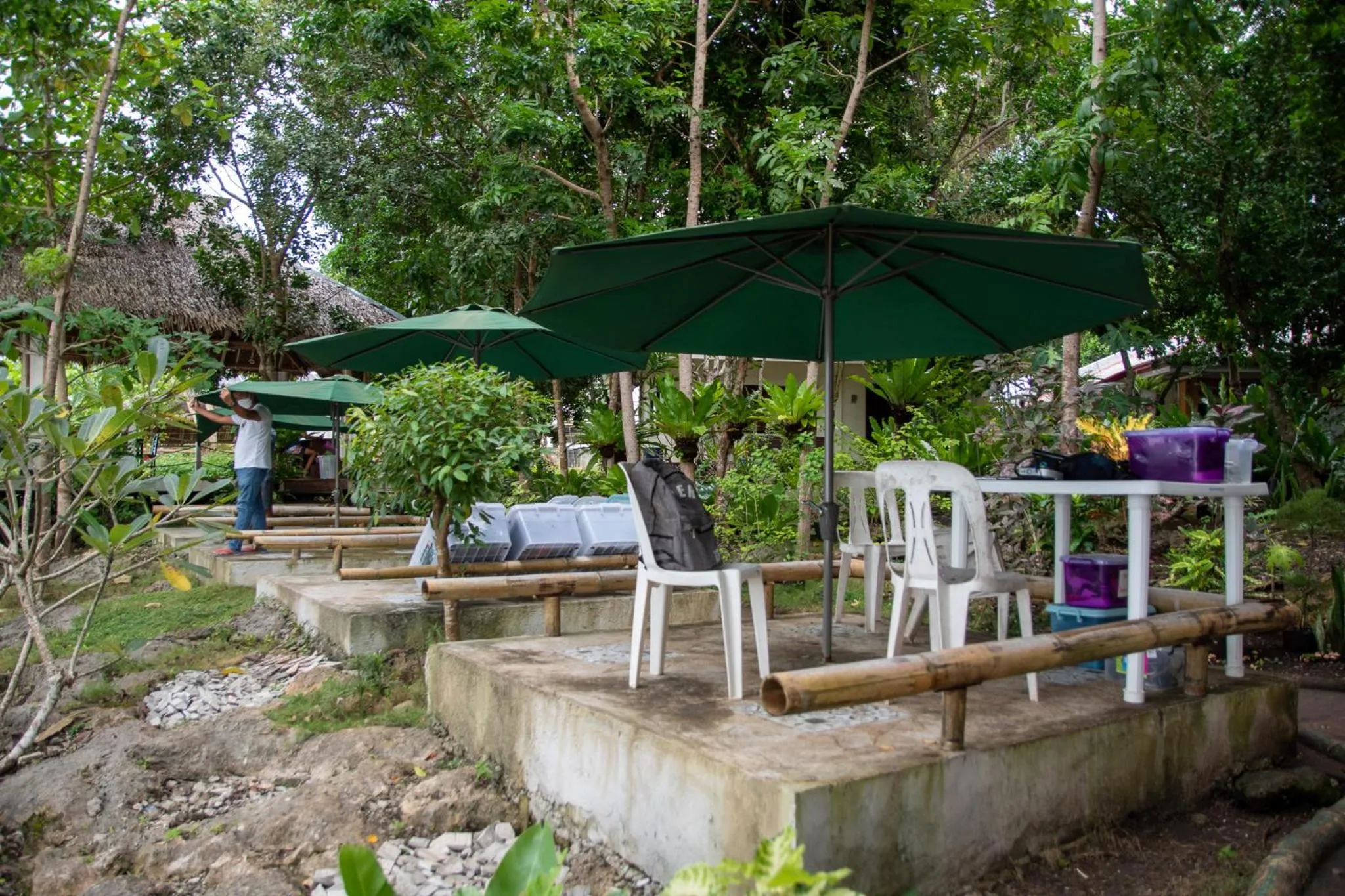 Almira Diving Resort- Panglao