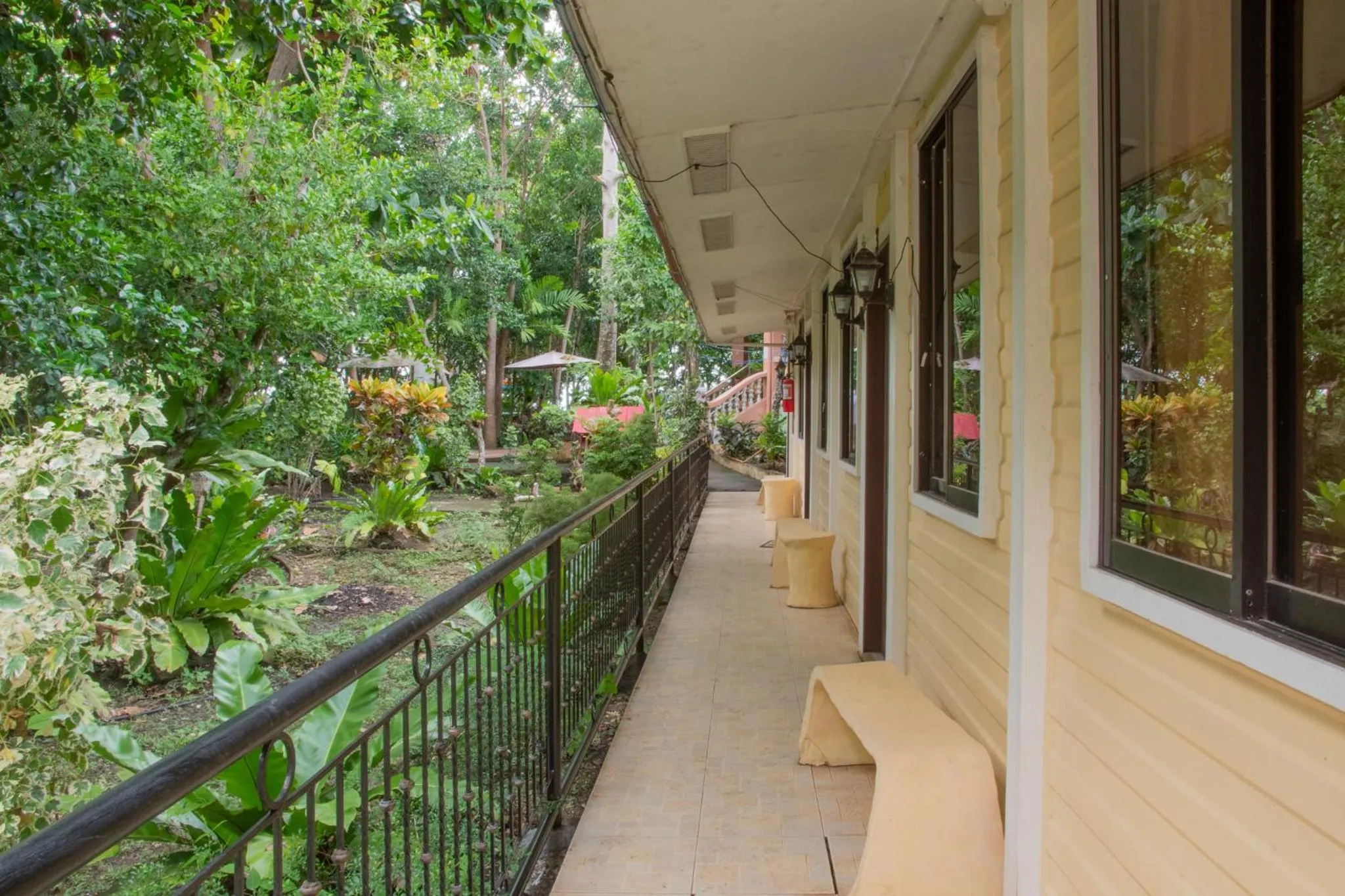 Property building in Almira Diving Resort- Panglao