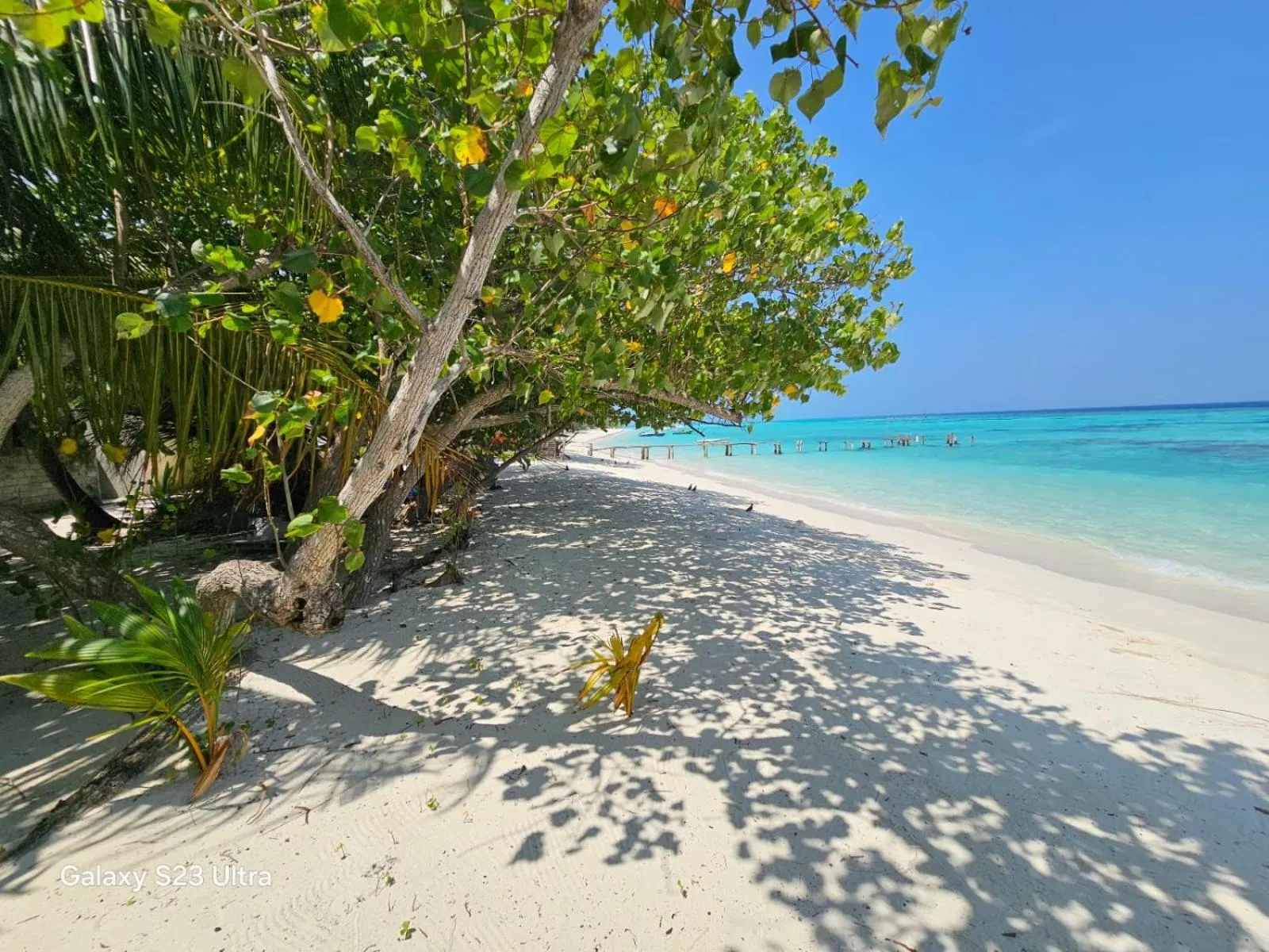 Kuri Himandhoo Inn