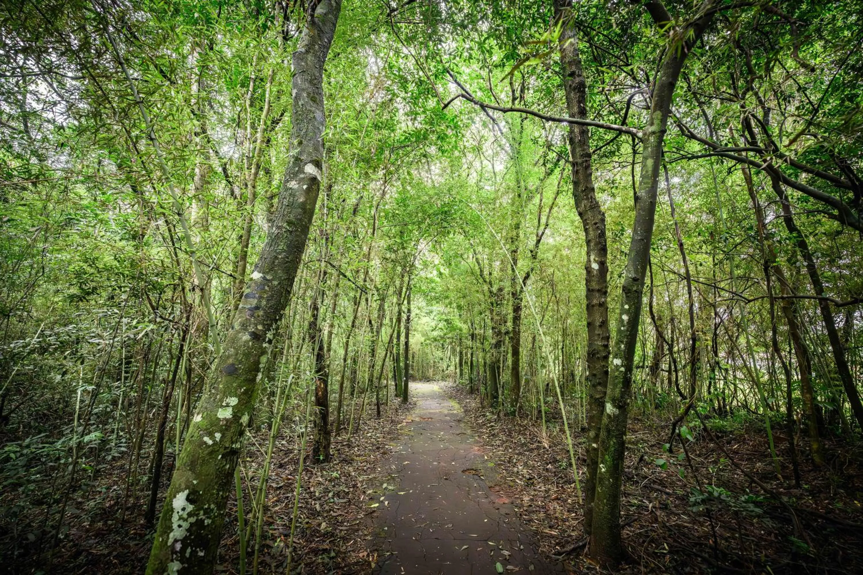Hiking in Exe Hotel Cataratas