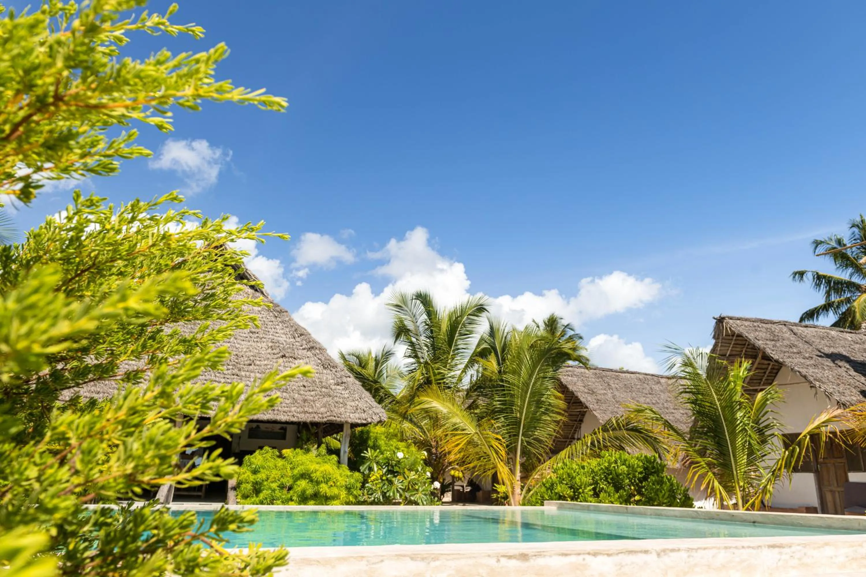 Natural landscape in Cinnamon Hotel