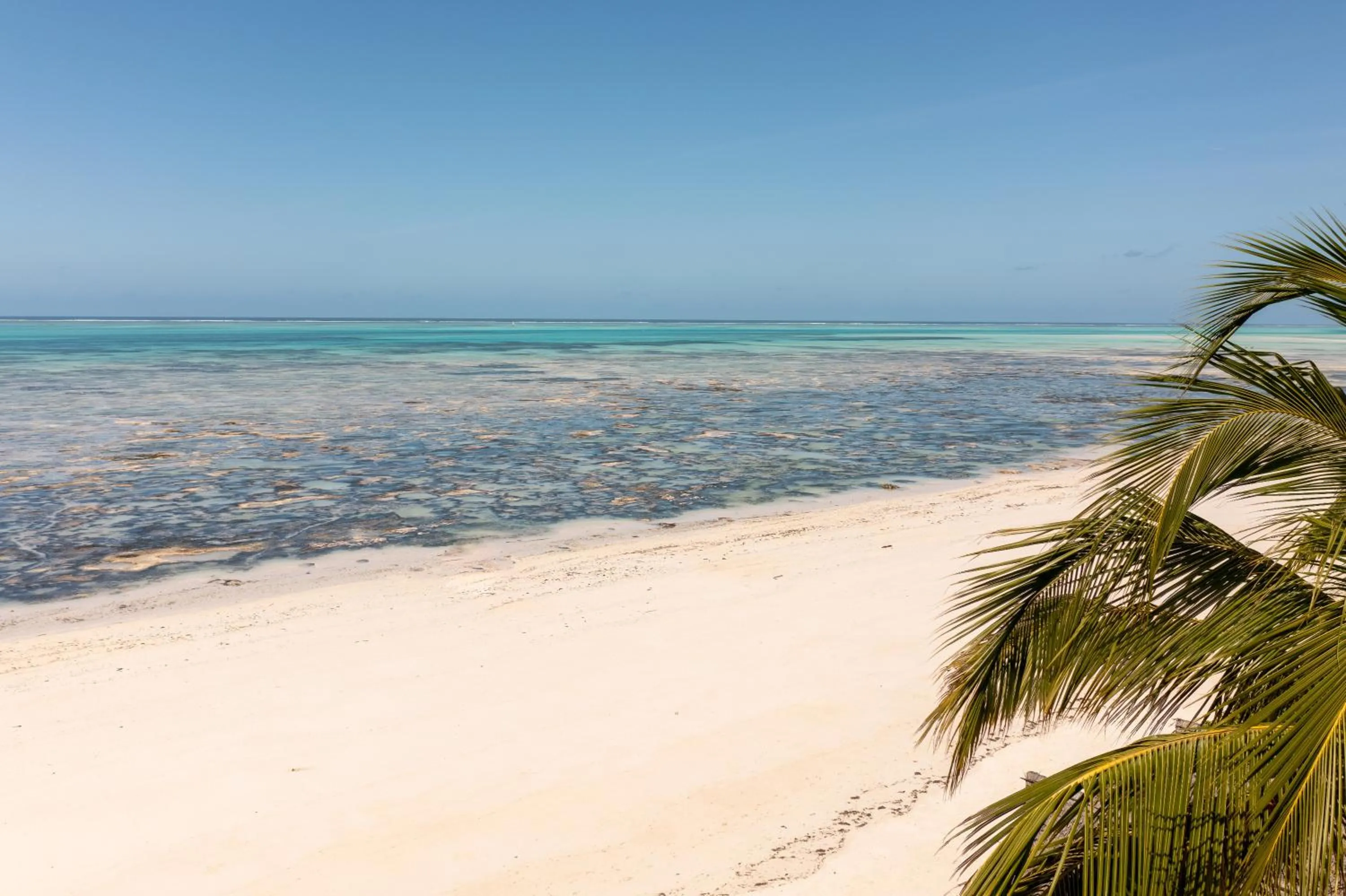 Natural landscape in Cinnamon Hotel