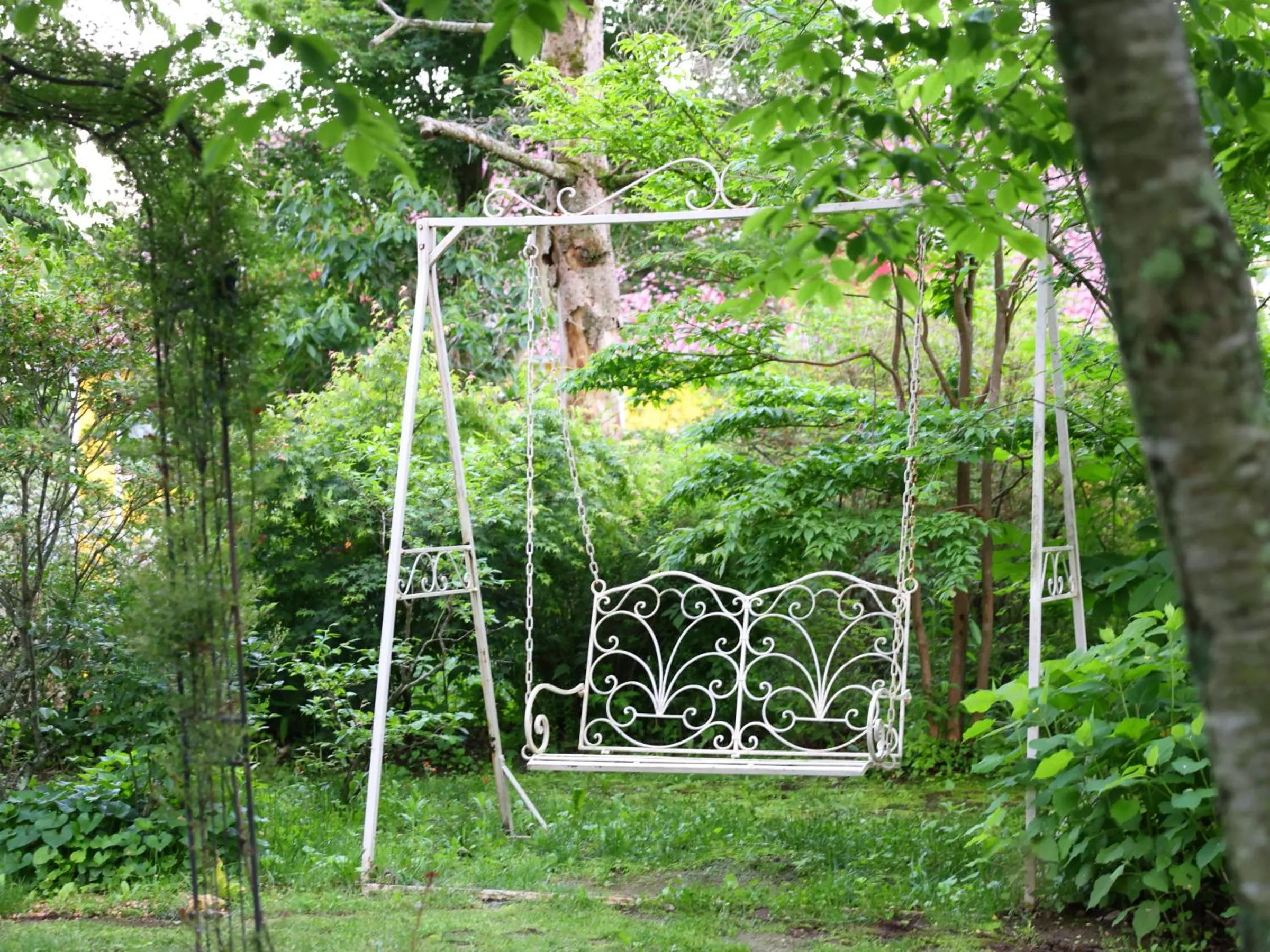 Garden in Petit Hotel & Restaurant Old Age