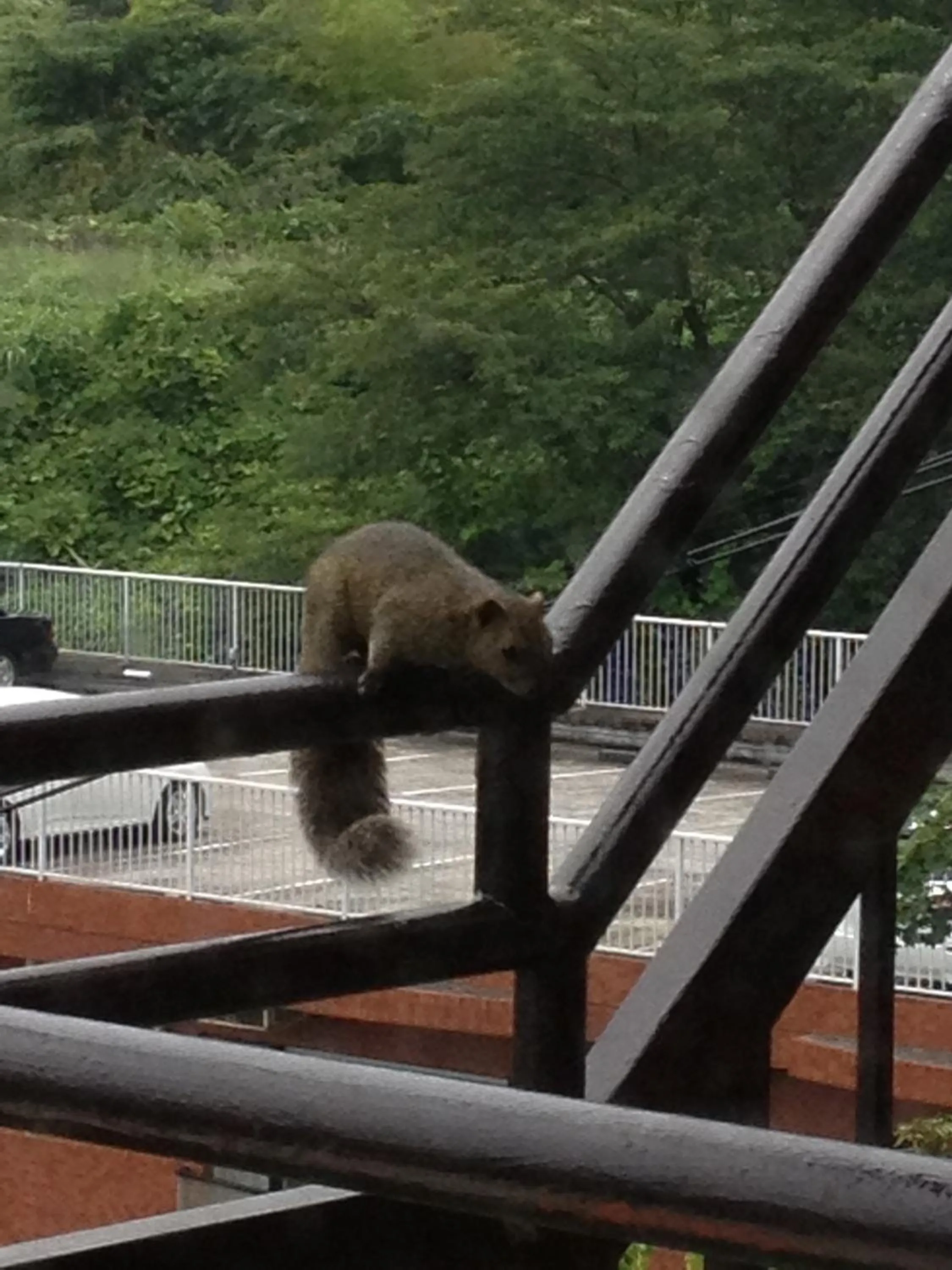 Other in Beach Commune Simploose (Adult Only)