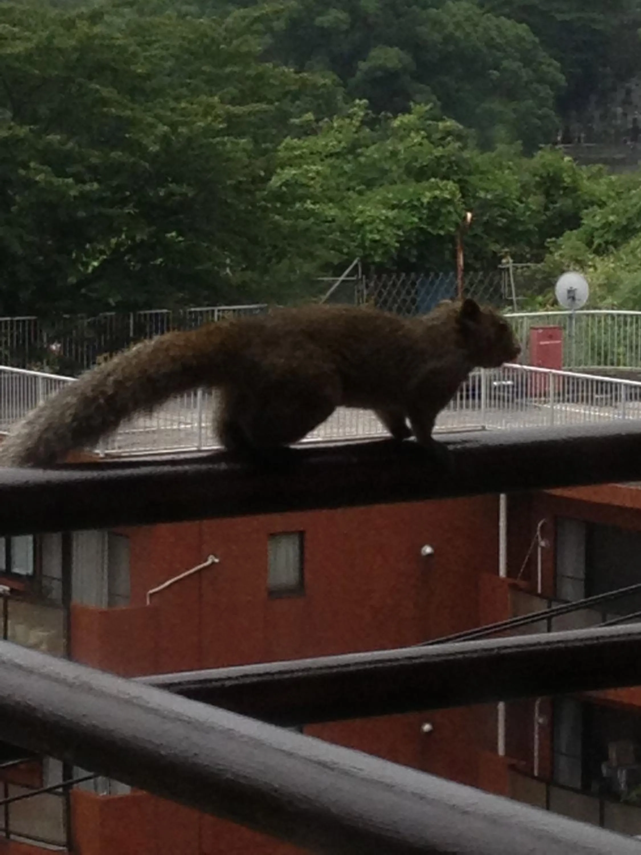 Other in Beach Commune Simploose (Adult Only)