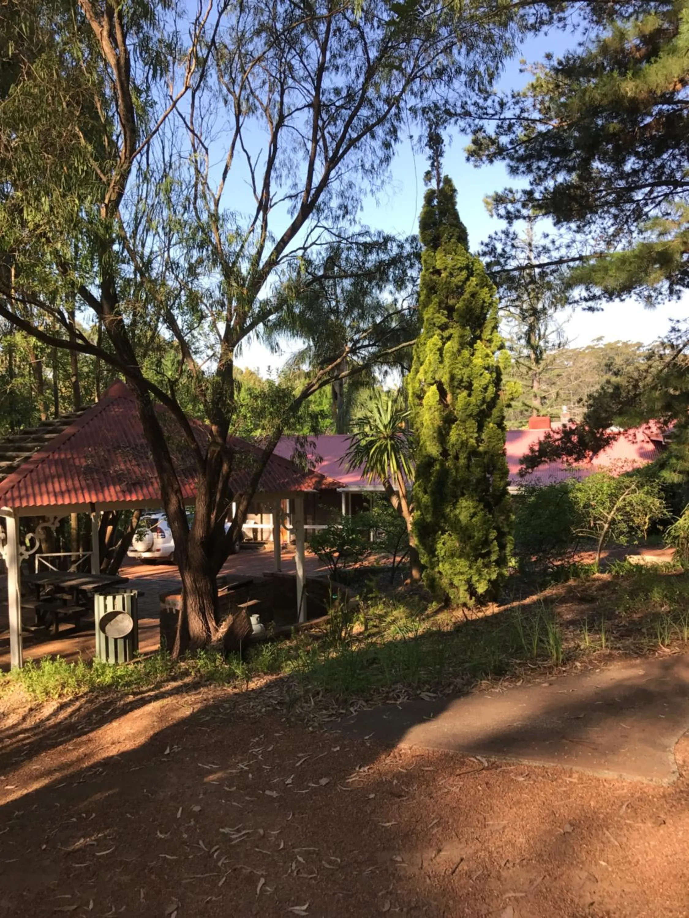 Spring in Forest Lodge Resort