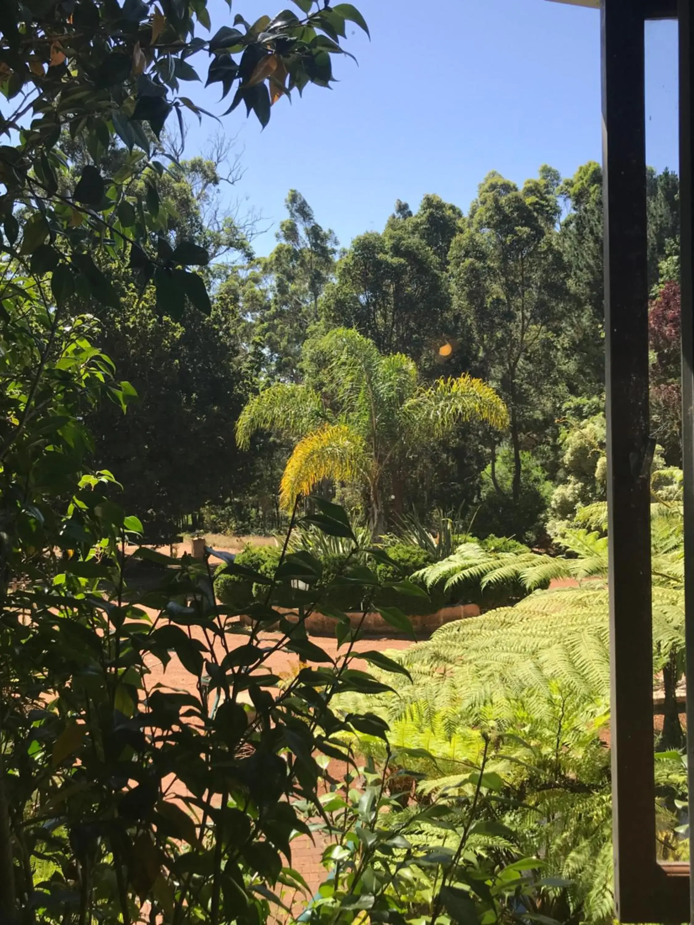 Facade/entrance in Forest Lodge Resort Facade/entrance in Forest Lodge Resort