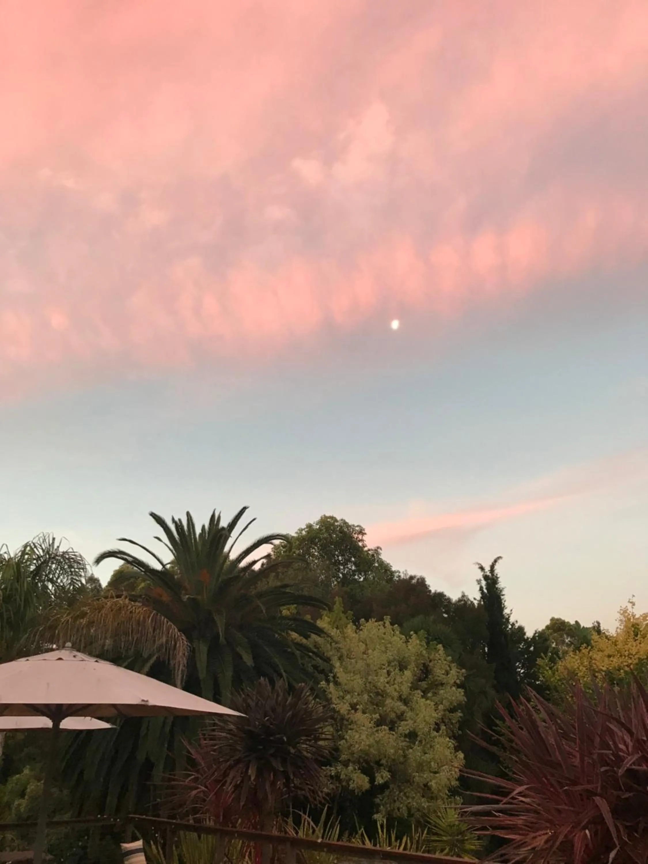 Day in Forest Lodge Resort