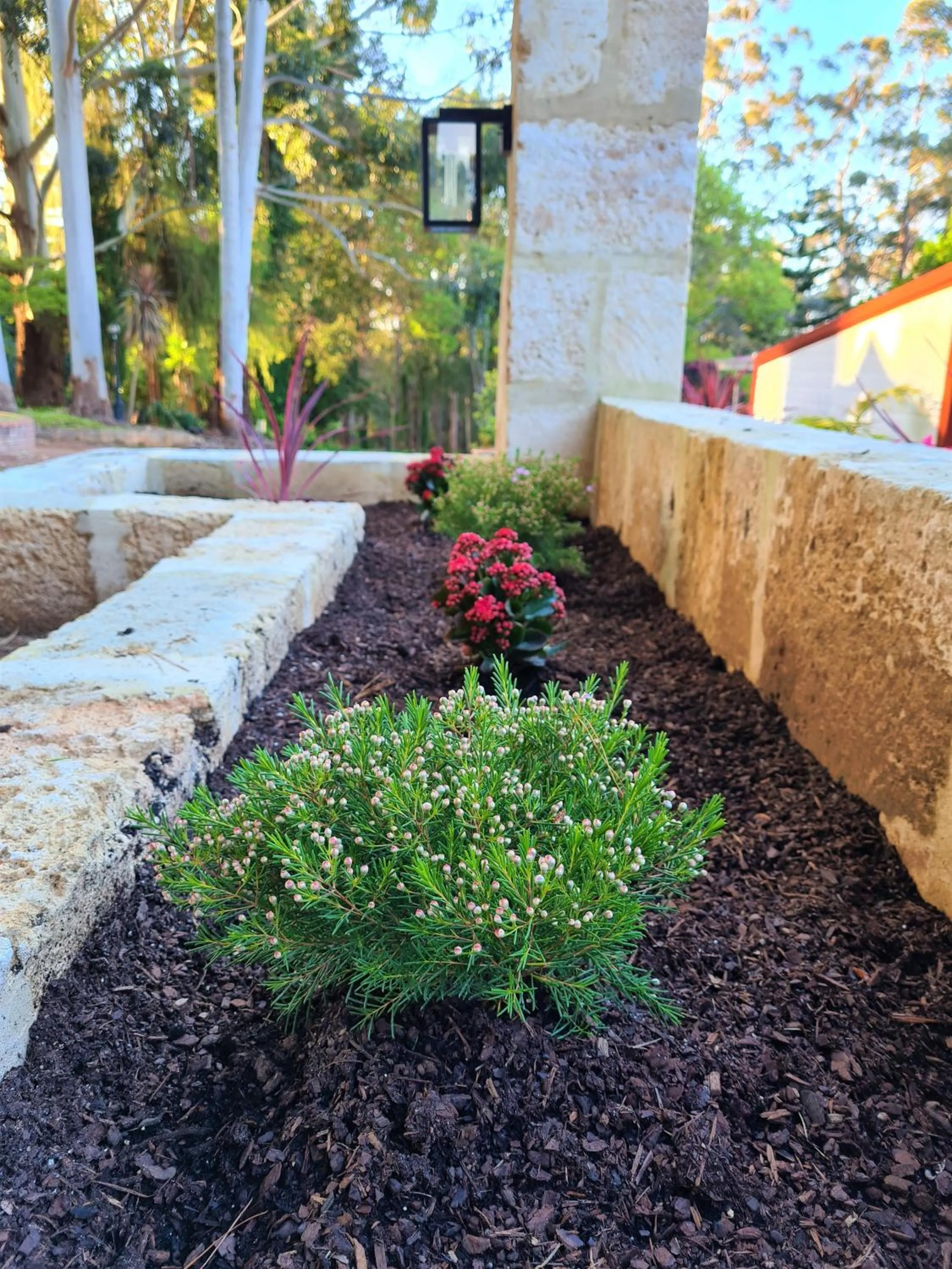 Spring in Forest Lodge Resort