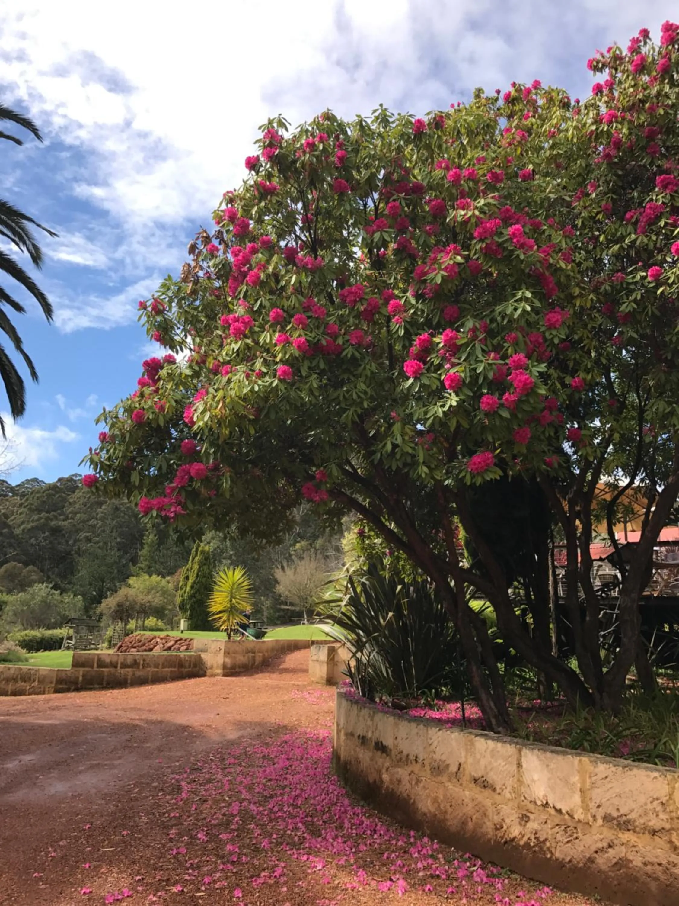 Day in Forest Lodge Resort