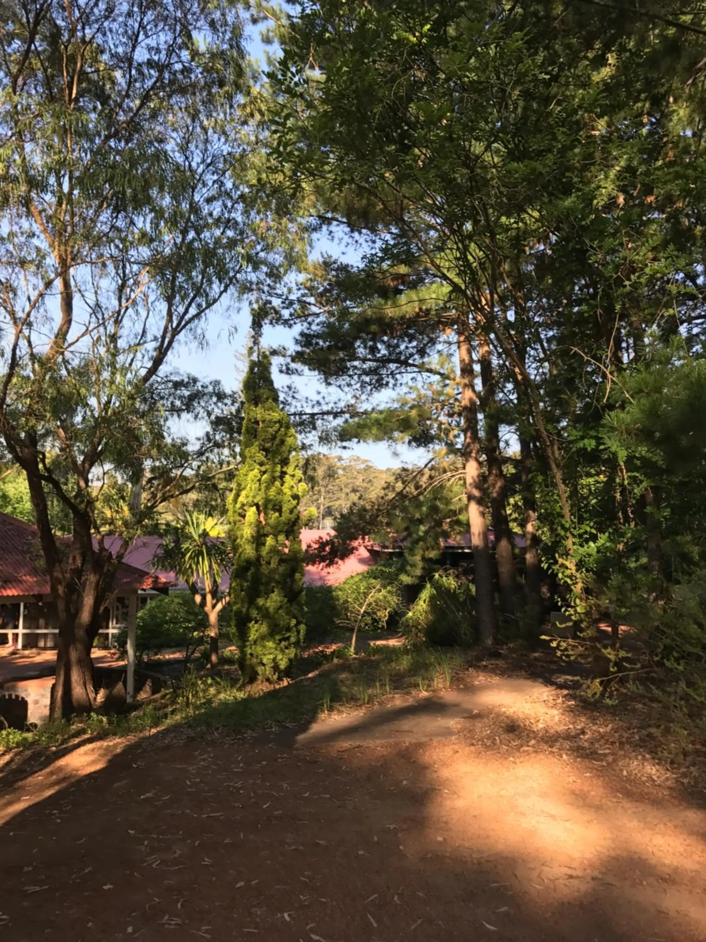 Natural landscape in Forest Lodge Resort