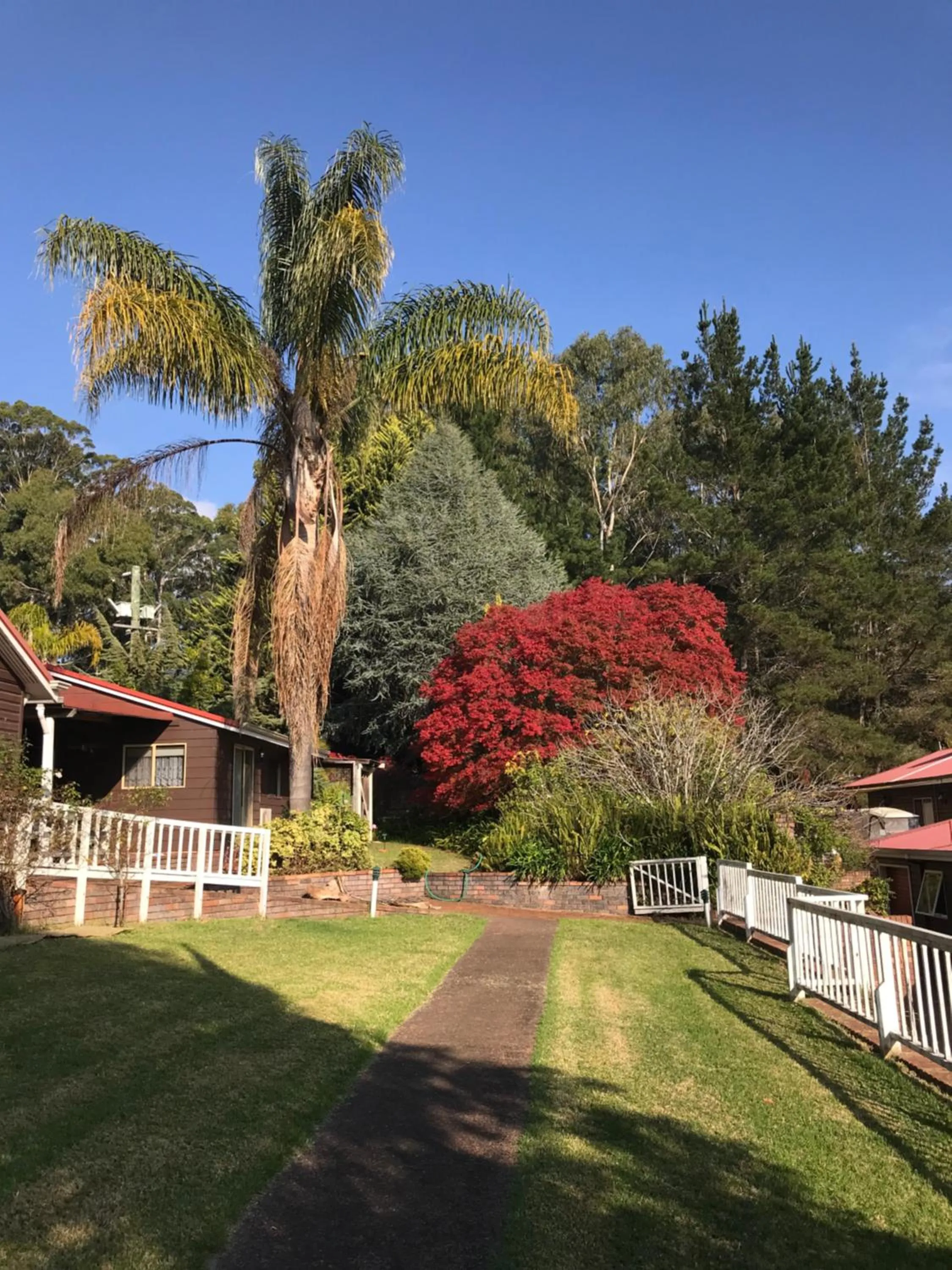 Property building in Forest Lodge Resort