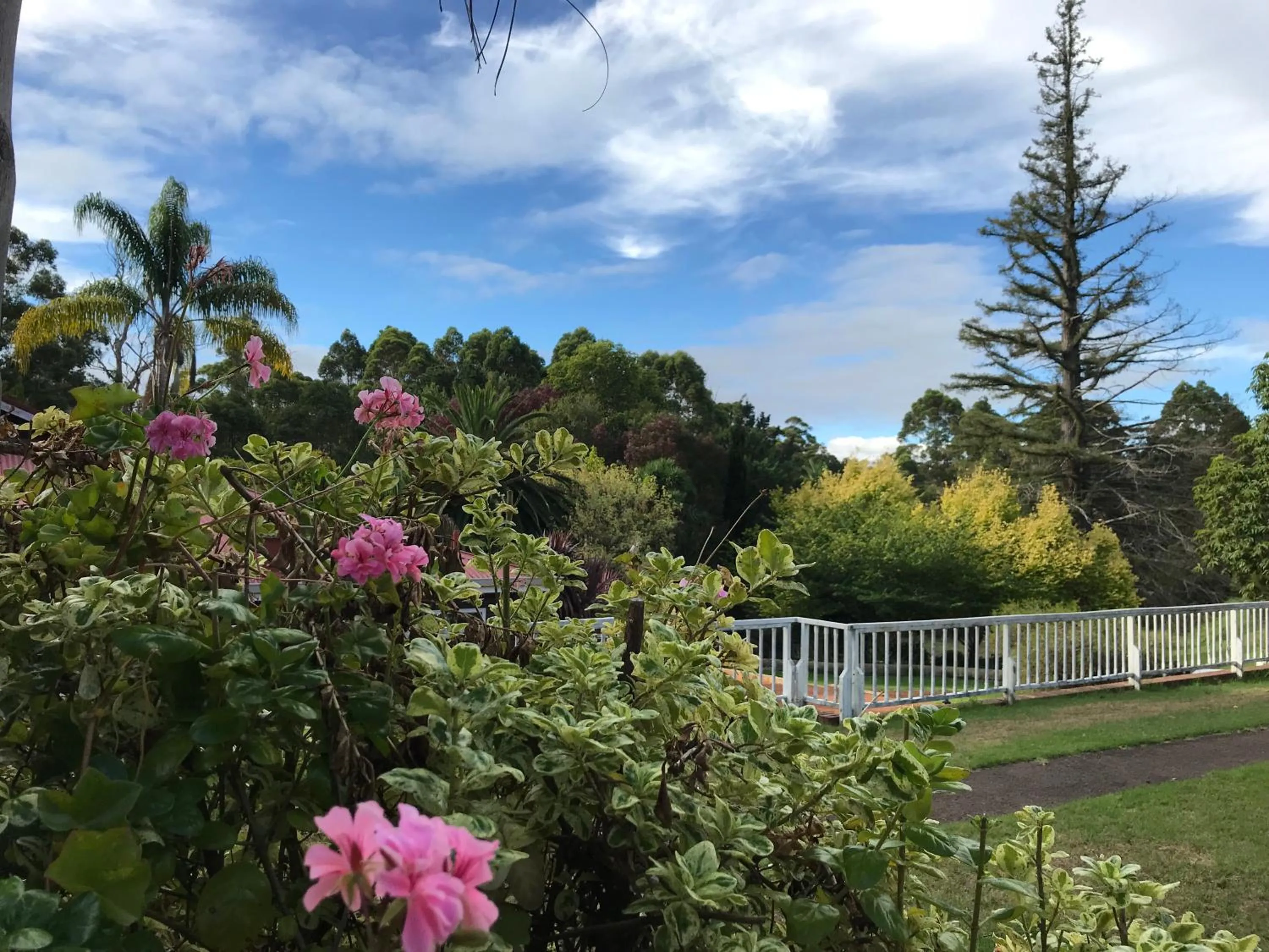 Day in Forest Lodge Resort