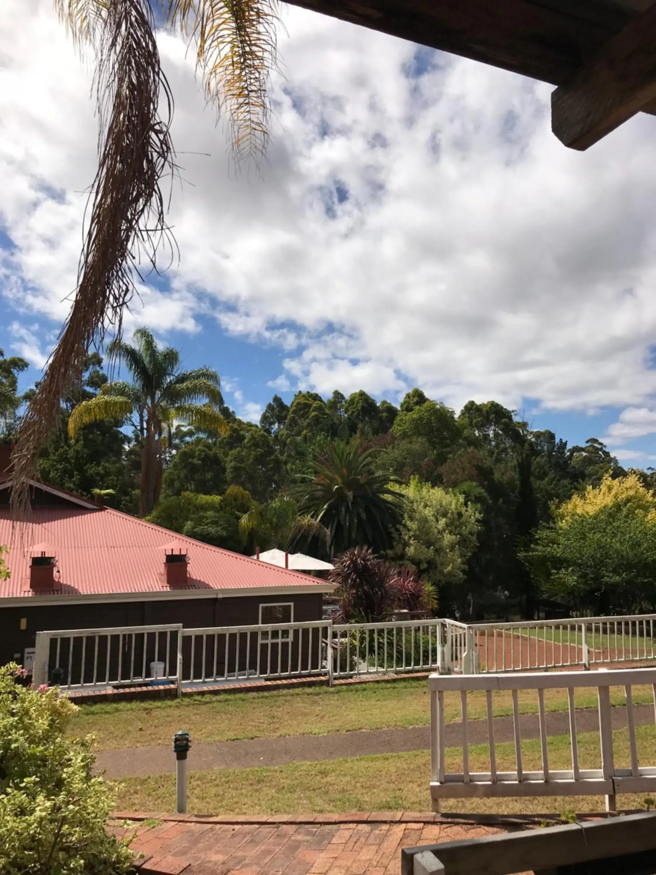Garden view in Forest Lodge Resort Garden view in Forest Lodge Resort