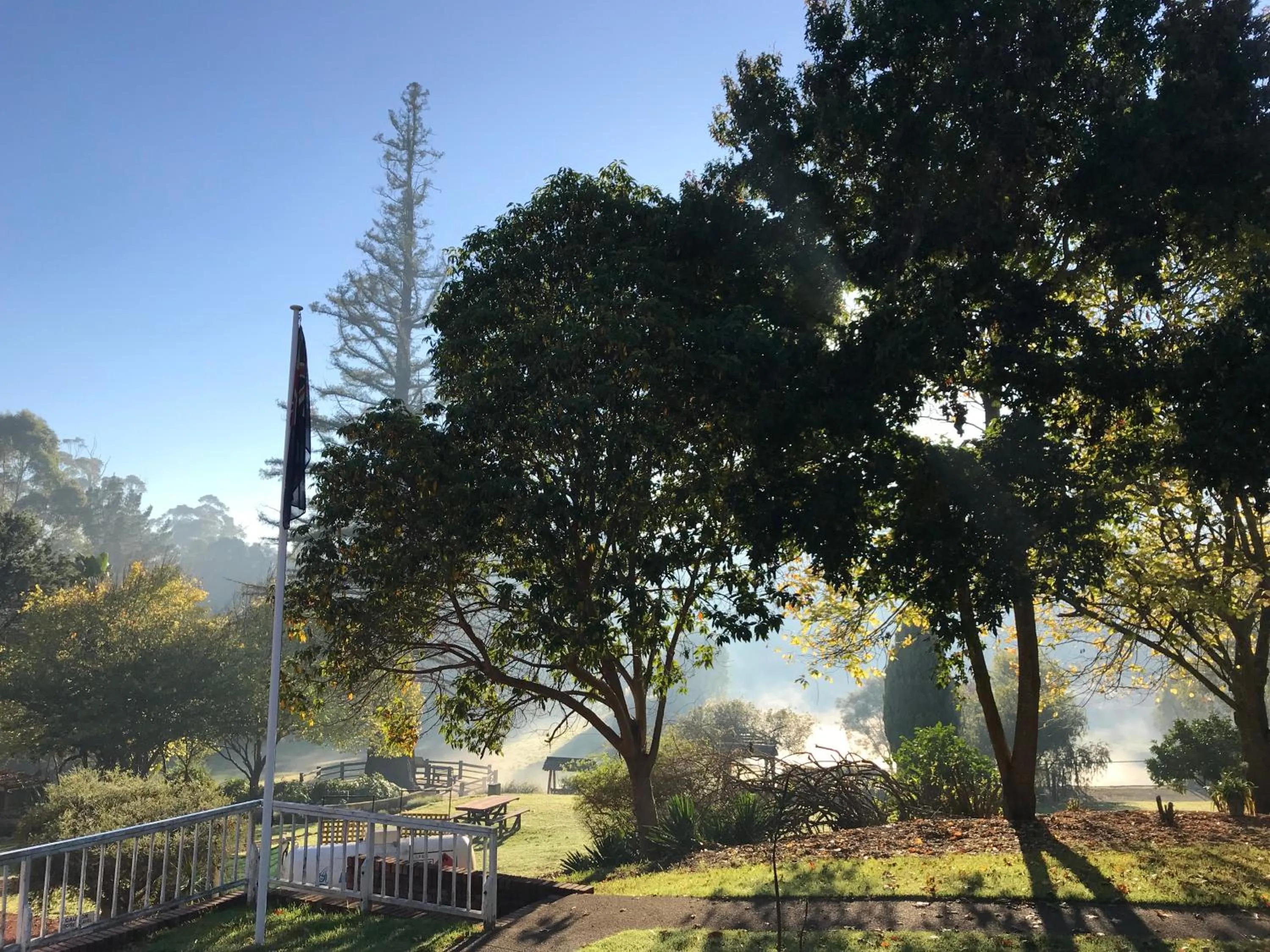 Natural landscape in Forest Lodge Resort