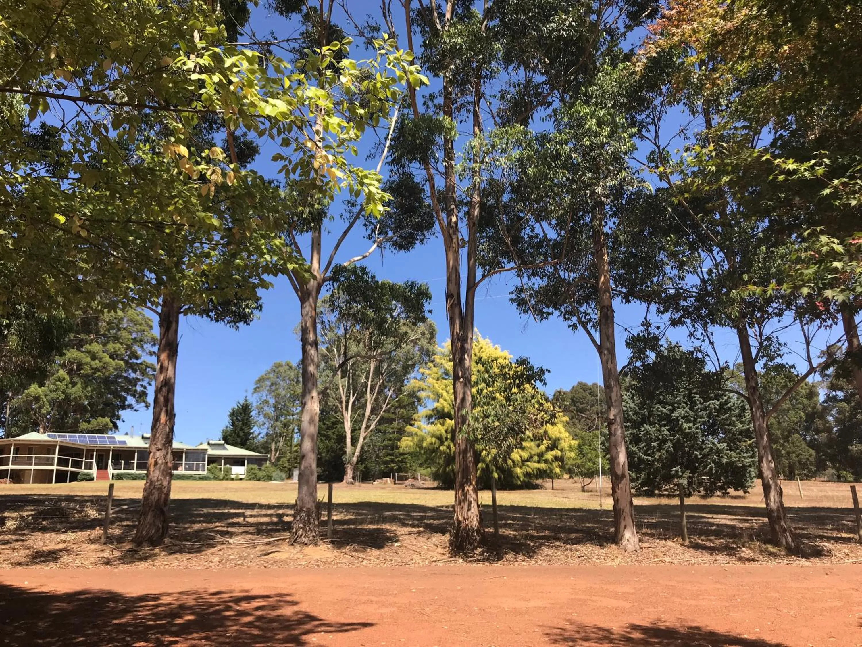 Garden in Forest Lodge Resort